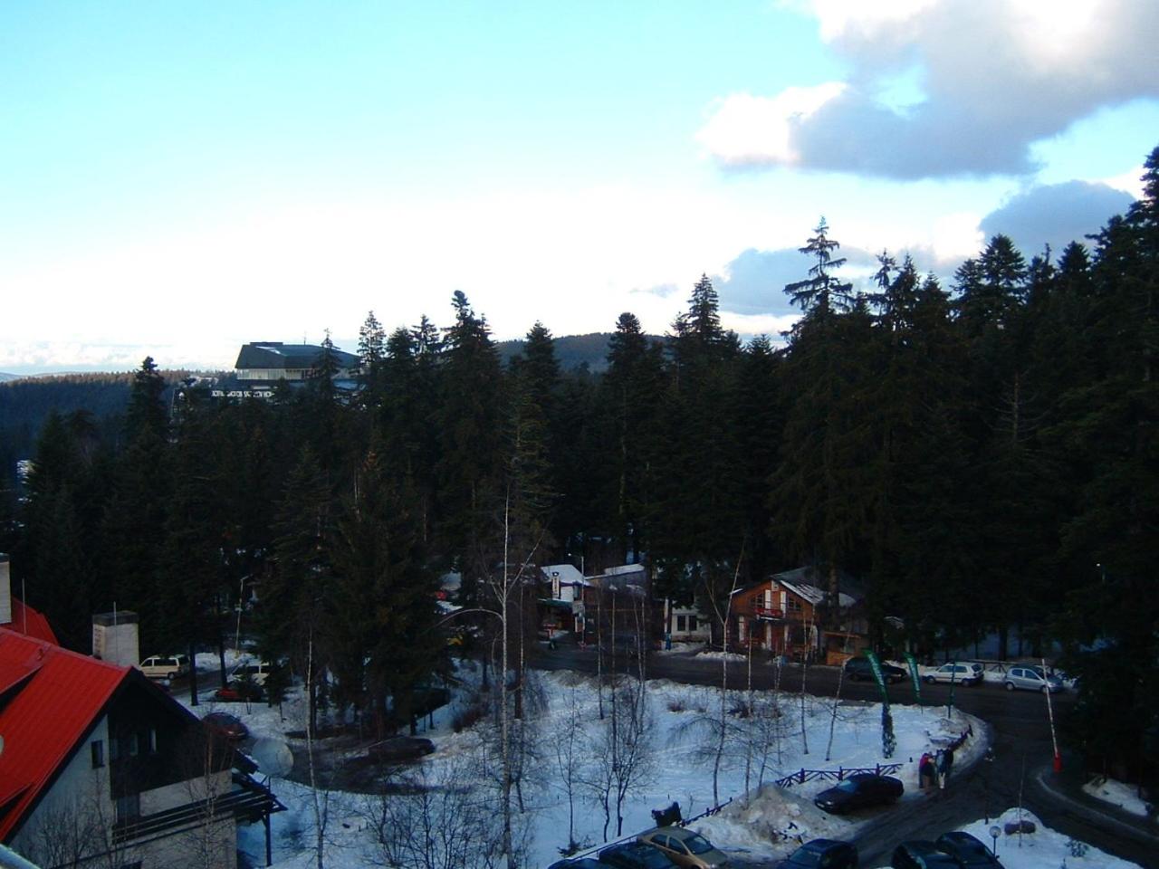 Photo 8