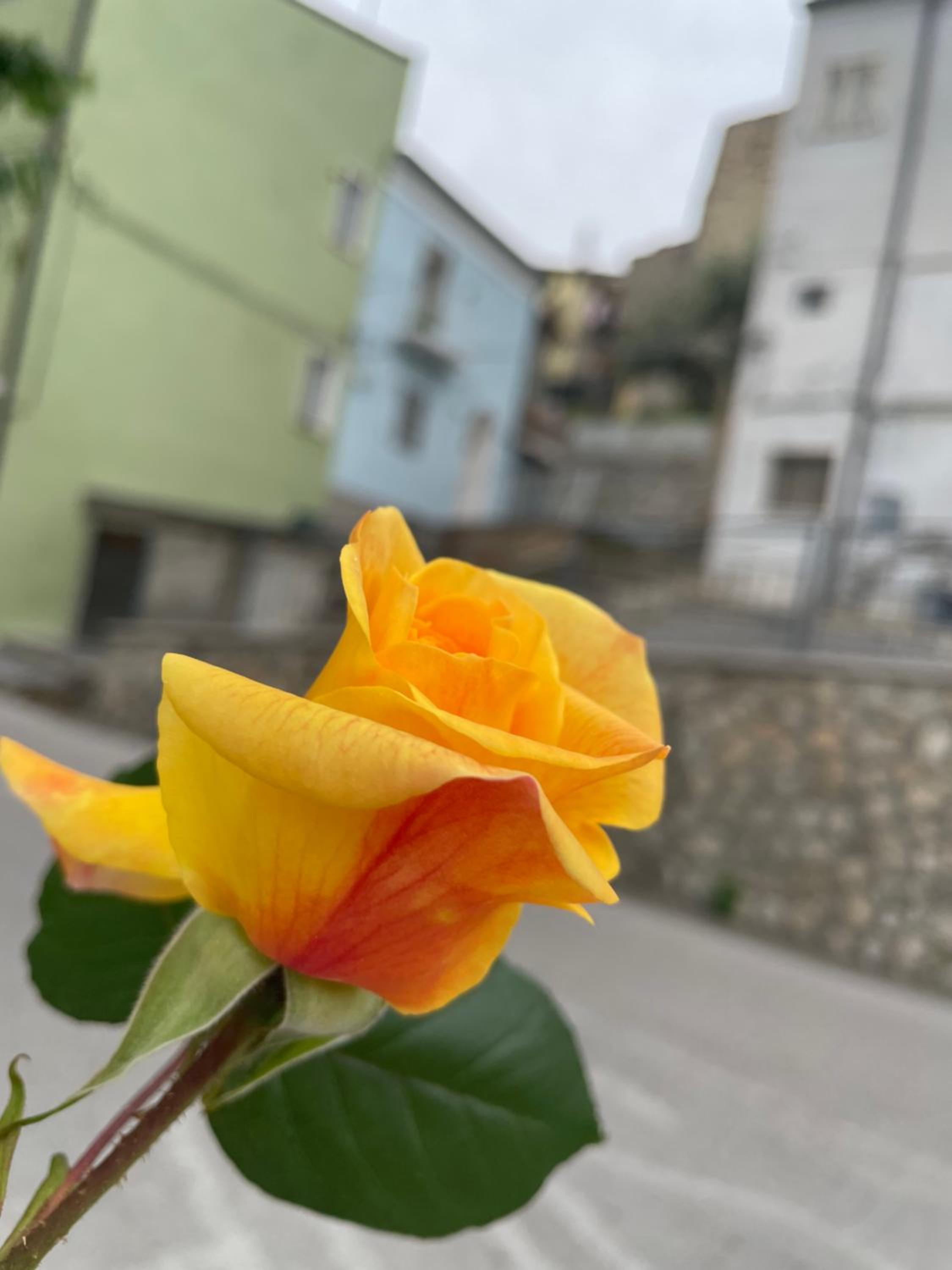 Rifugio nel cuore dell'Abruzzo