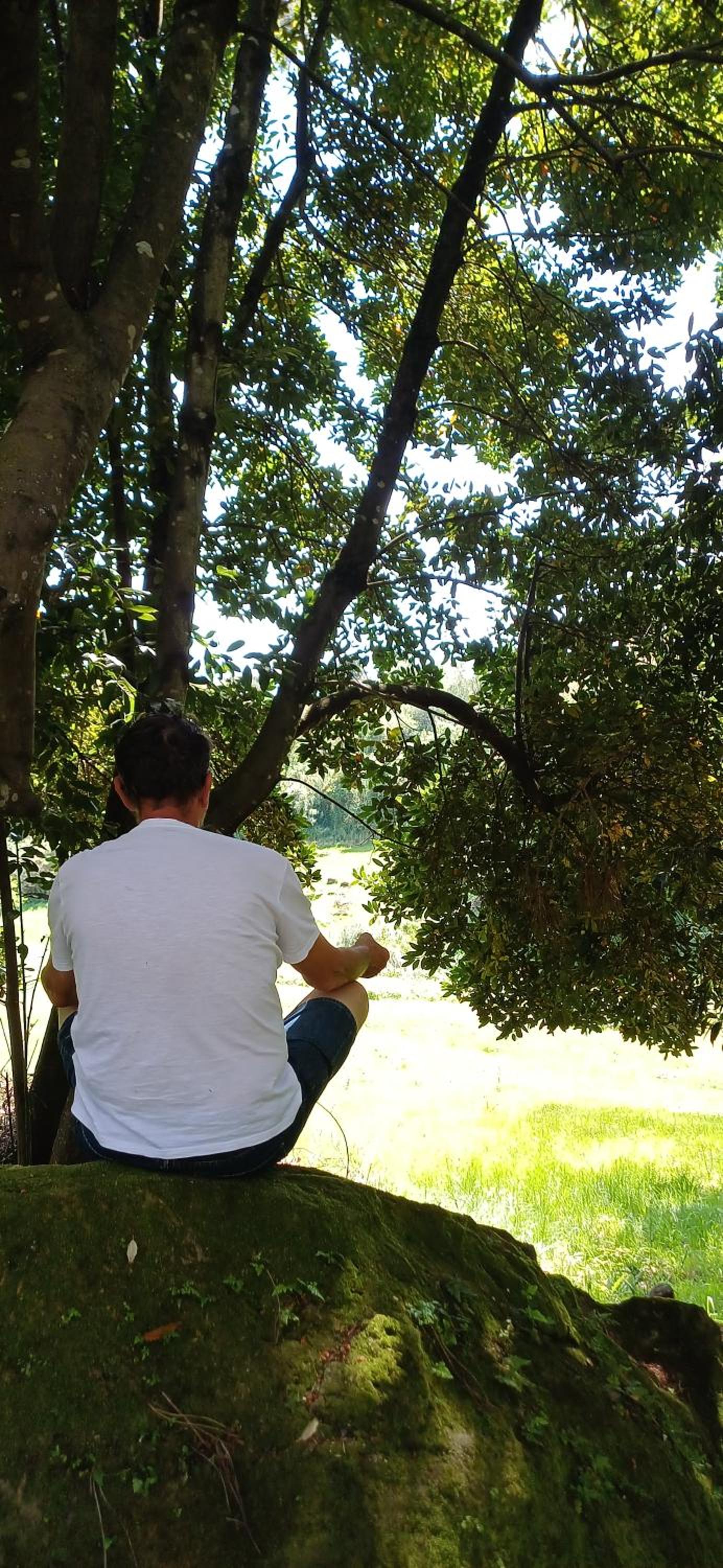 Quinta da pêra rocha