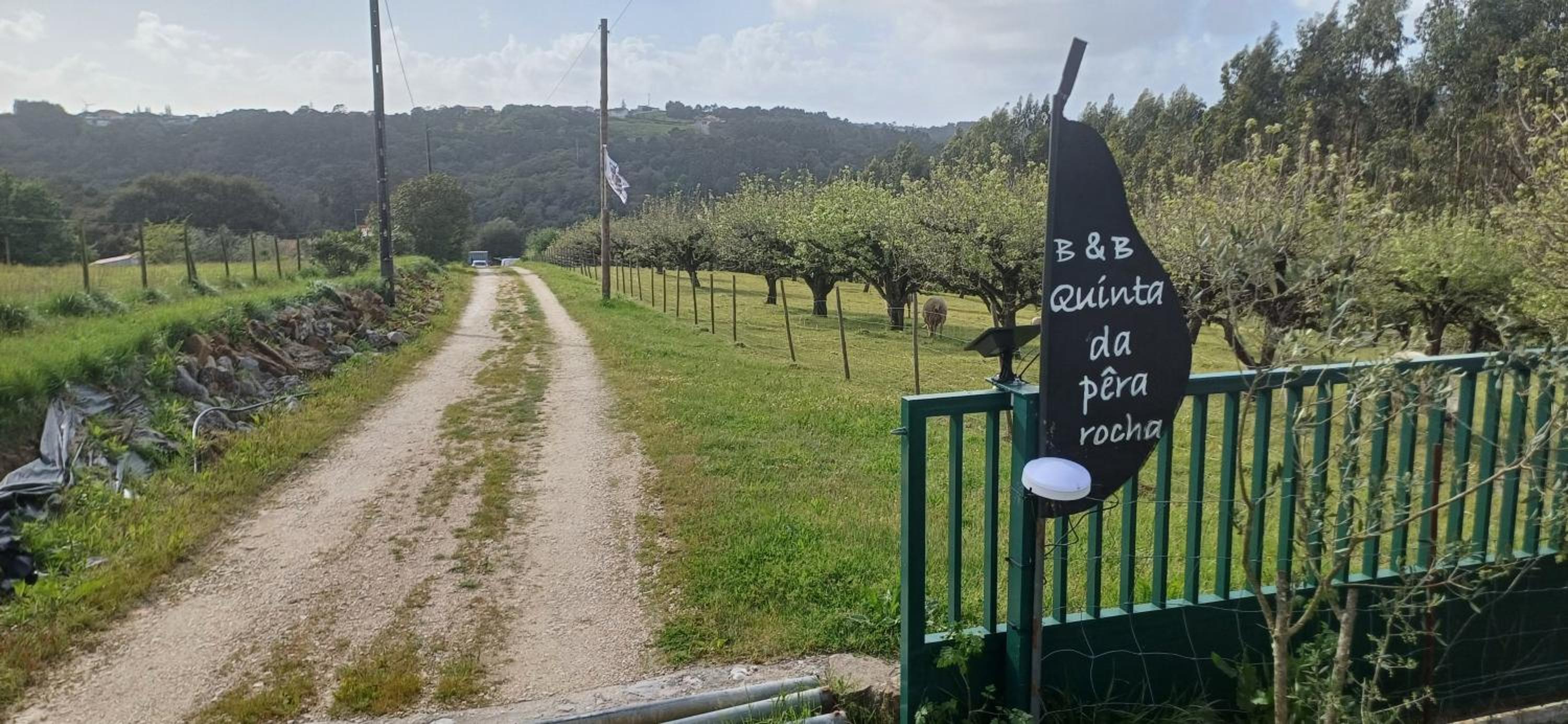Quinta da pêra rocha