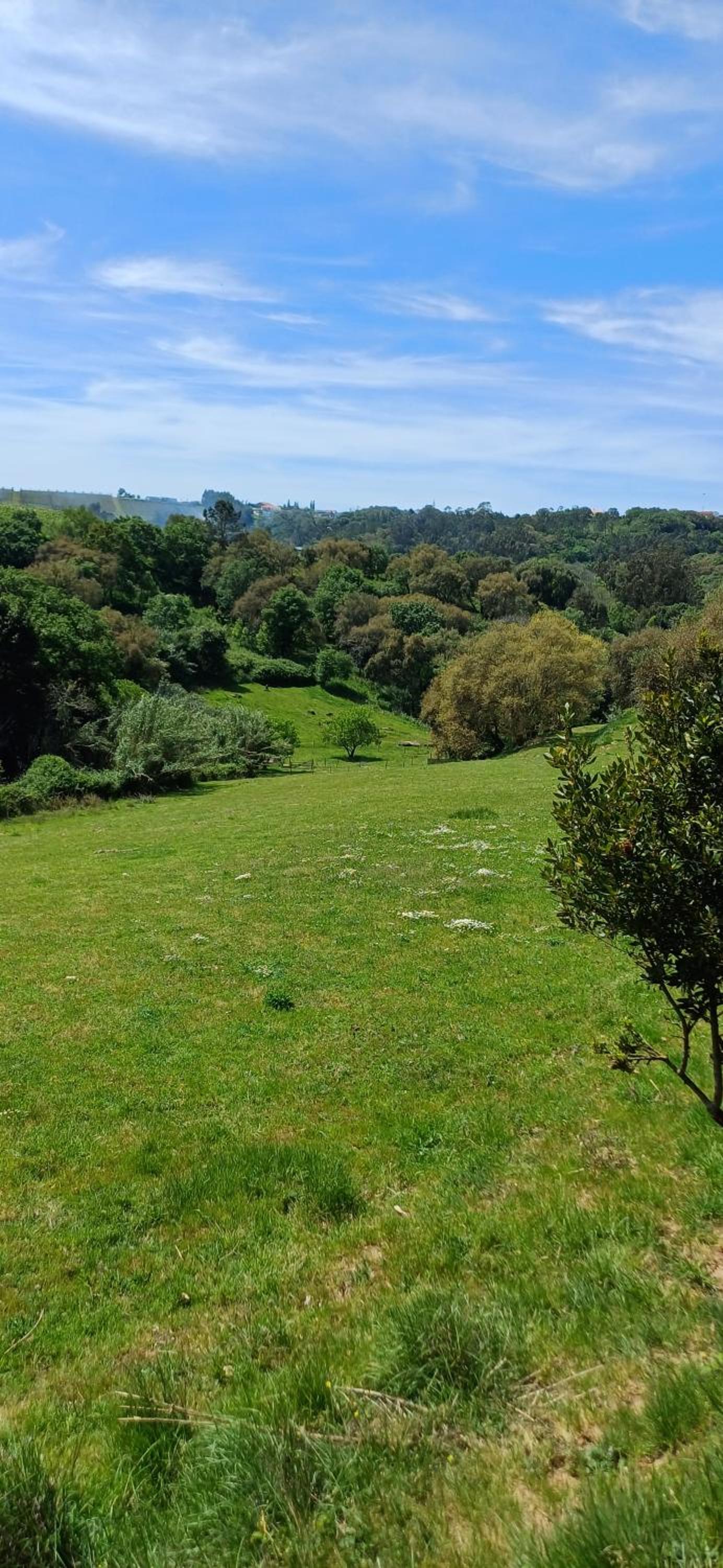 Quinta da pêra rocha