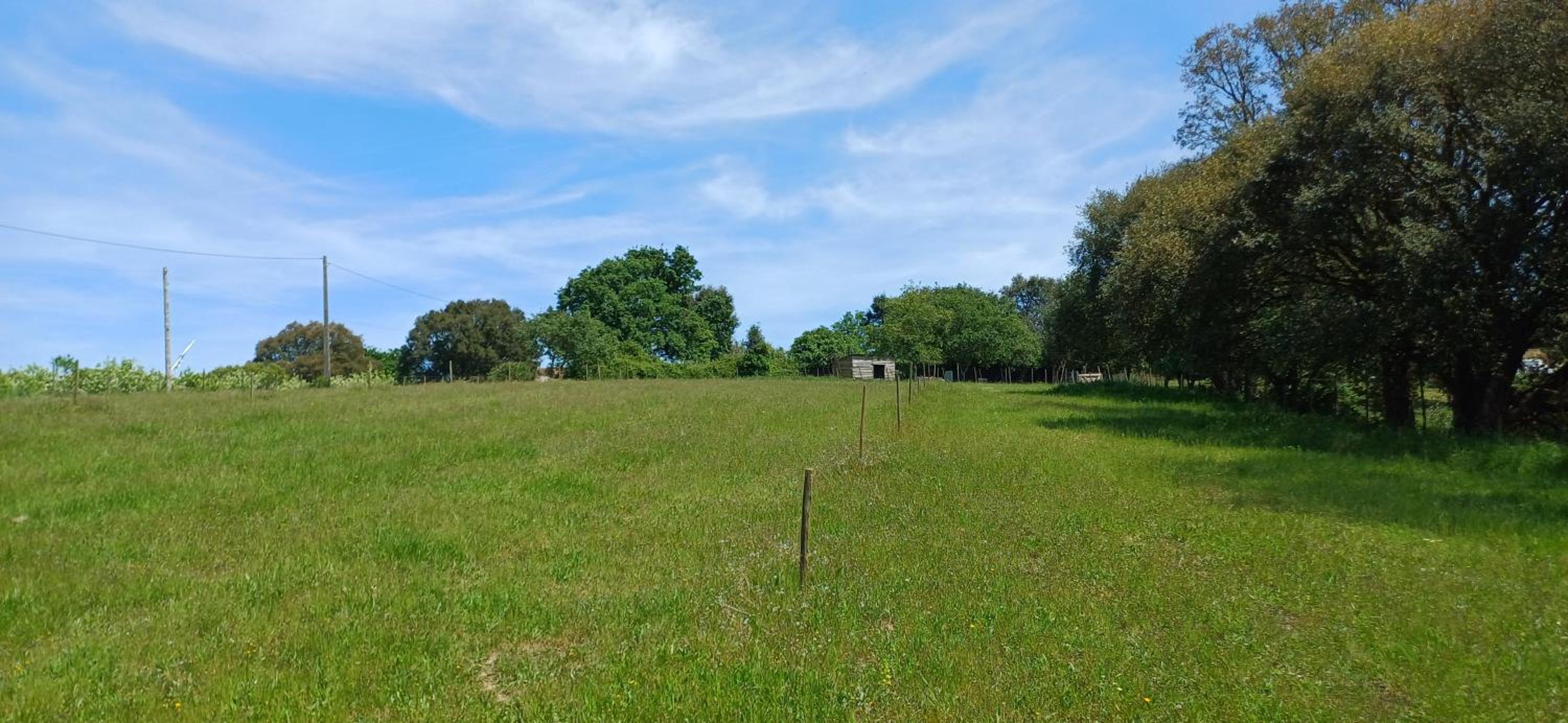 Quinta da pêra rocha