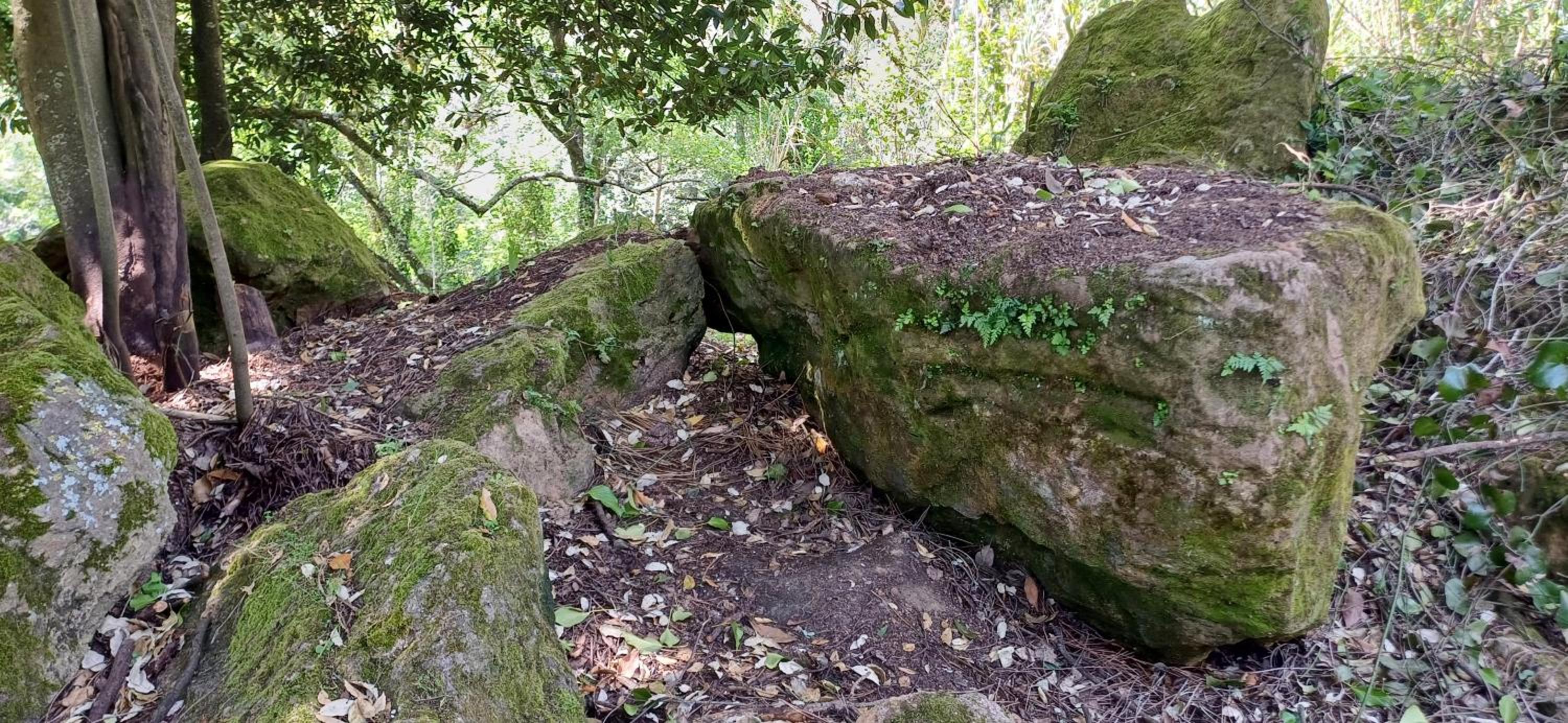 Quinta da pêra rocha