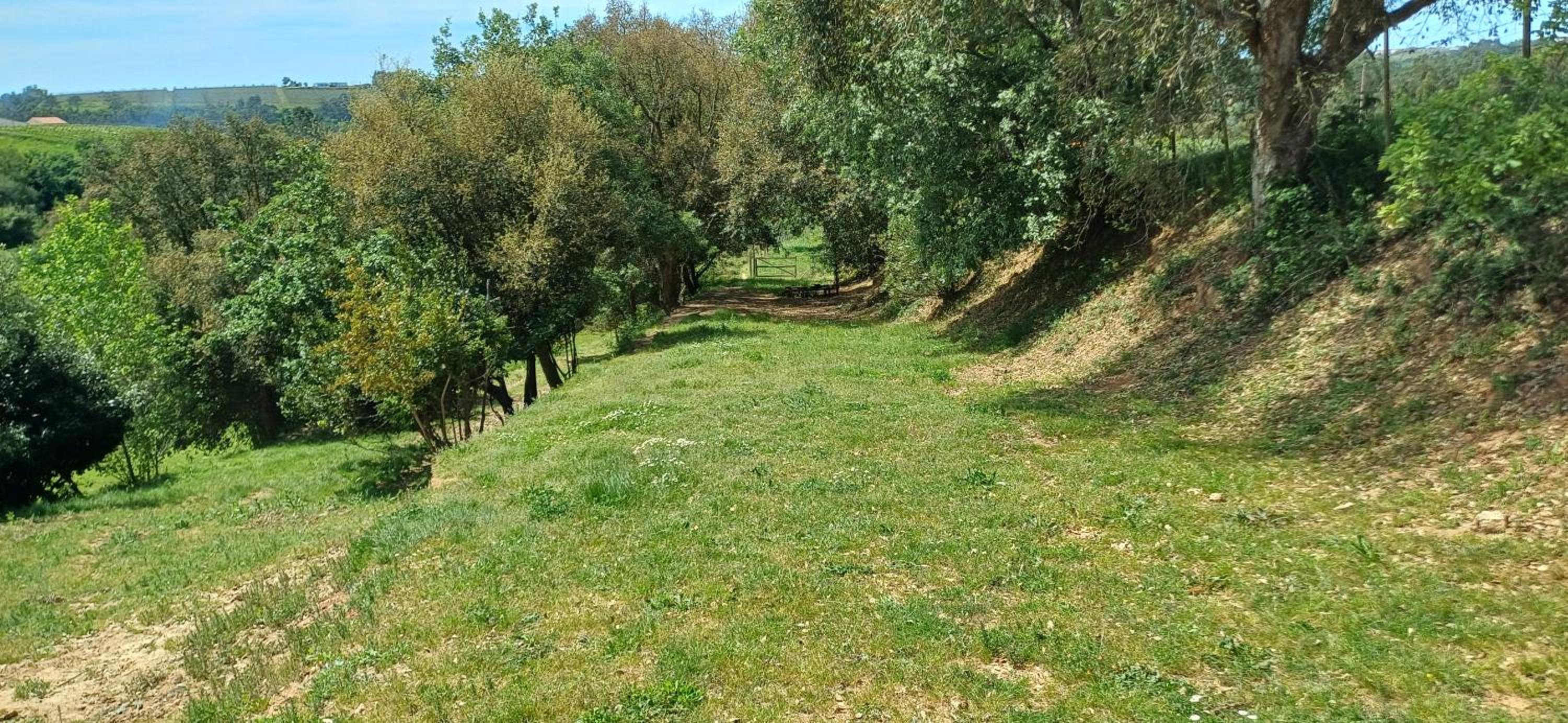 Quinta da pêra rocha