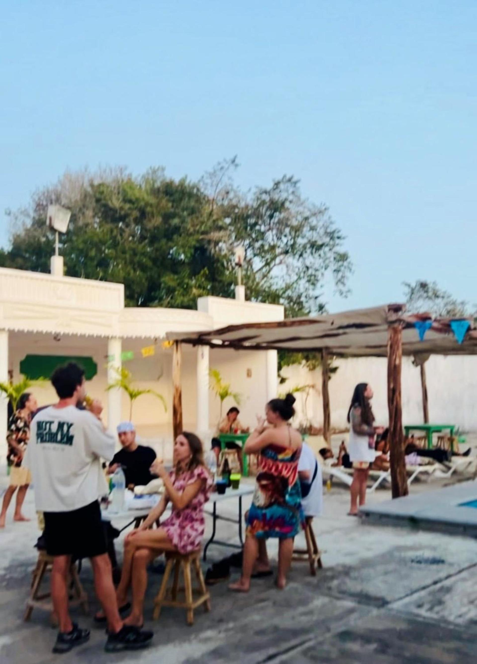 Hostel Treebu