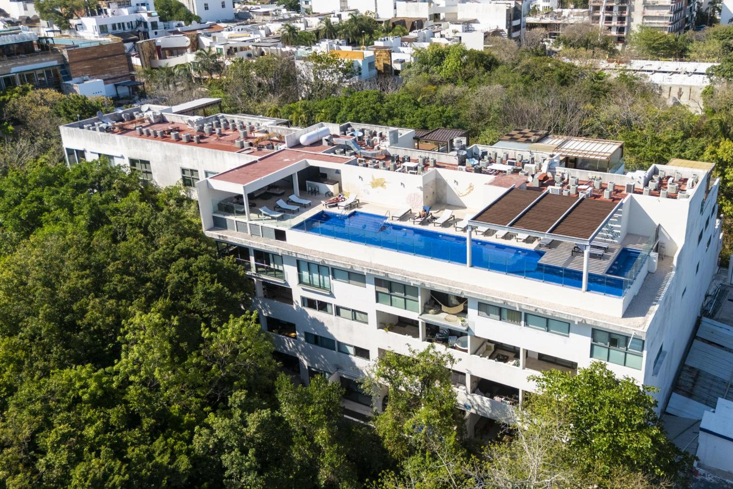 2 BR Condo with Rooftop Pool - Terrazas Condos