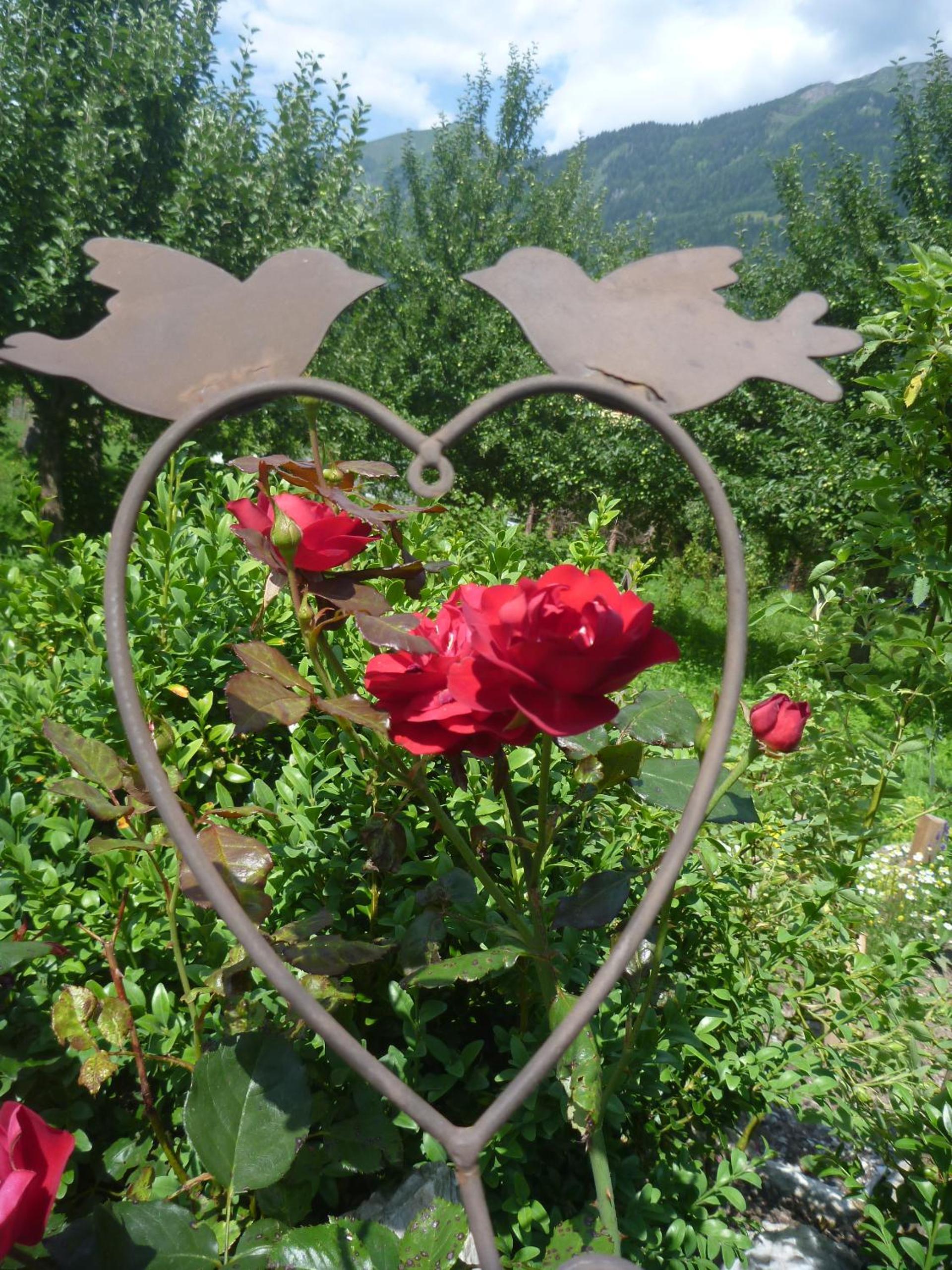 ZITTRAUERHOF - Urlaub am Bauernhof Gastein