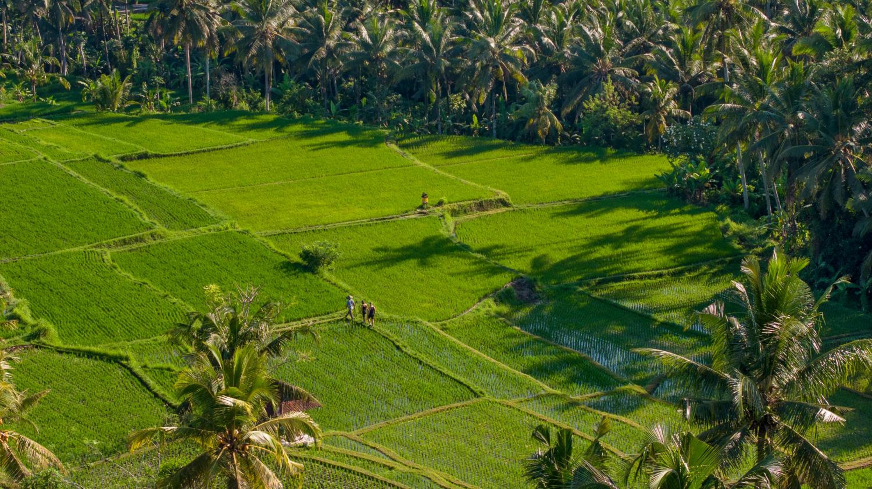 Edge of Ubud by GenuineHost