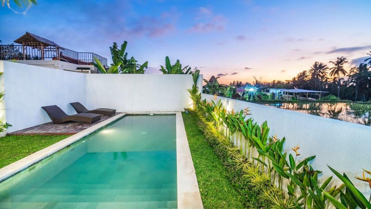 Green View Villa