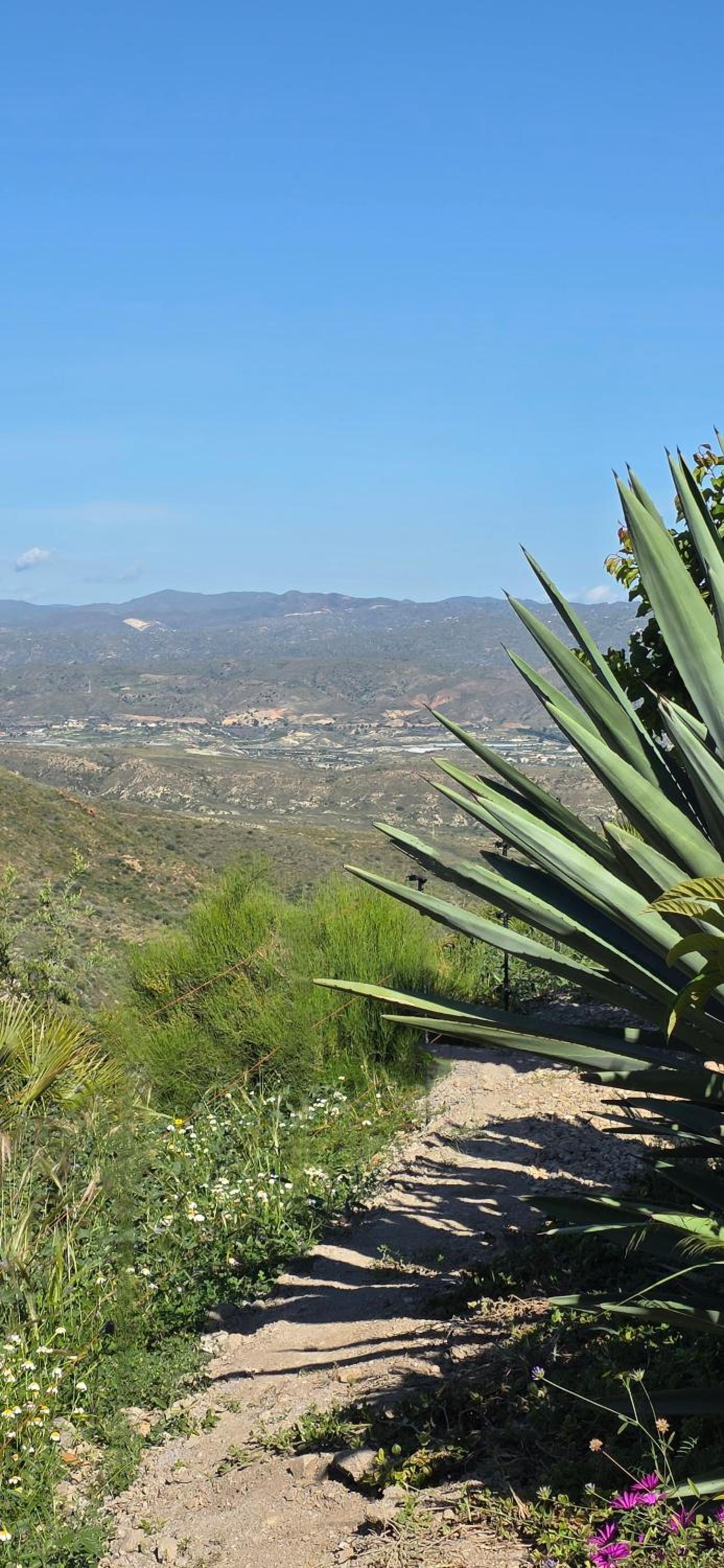 La Fuente de Vida