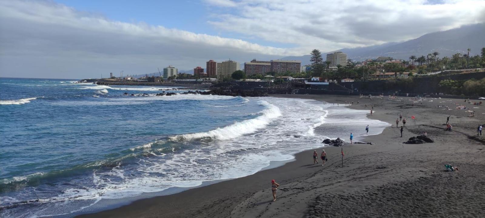 La Tortuga Azul D