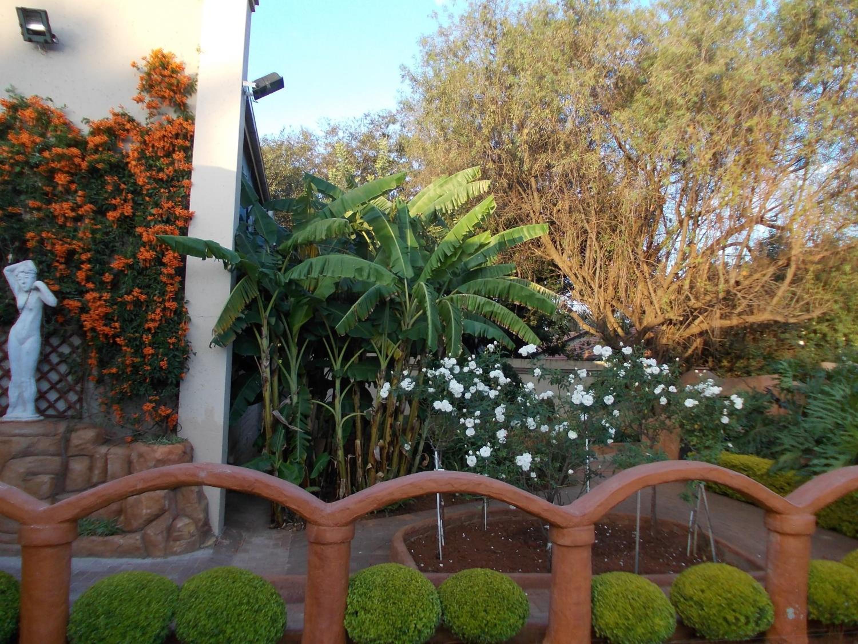 Homestay Travel Guest House