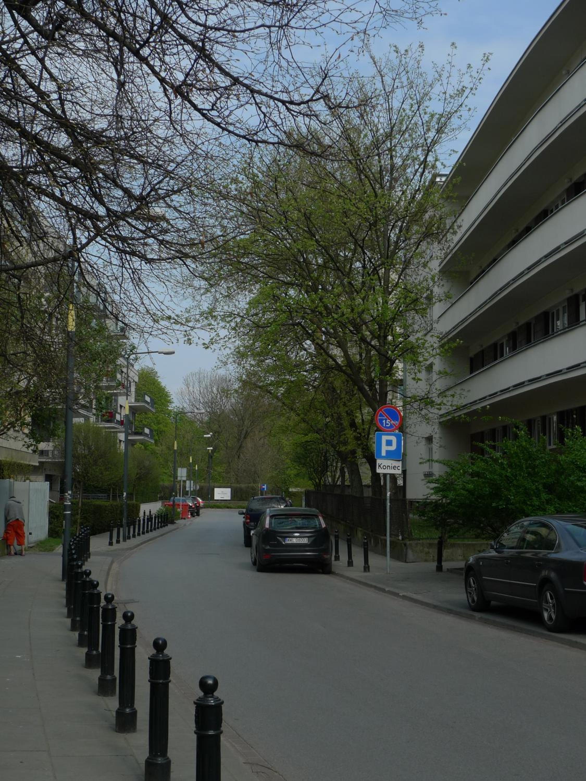 Photo 19