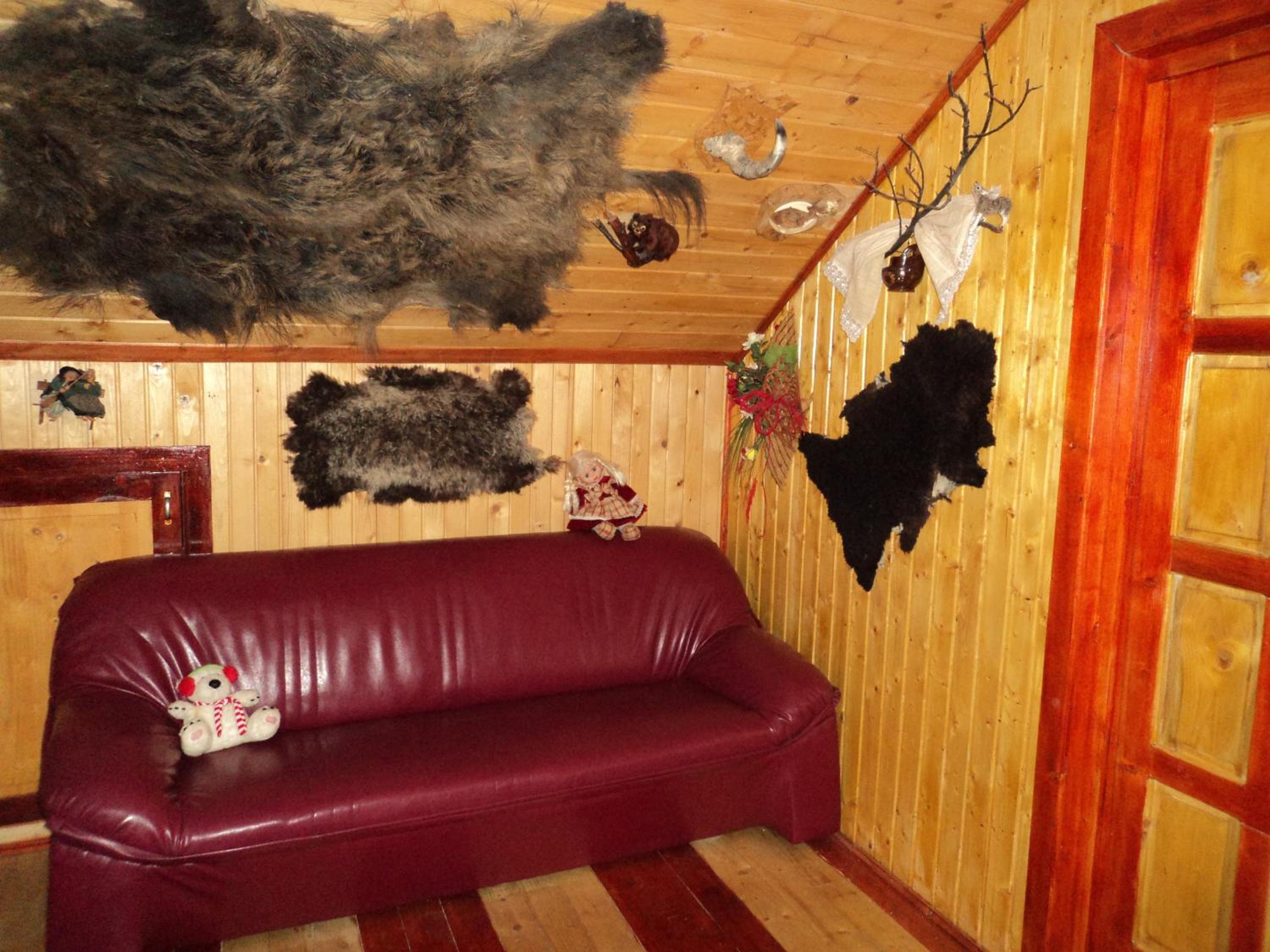 Photo 44