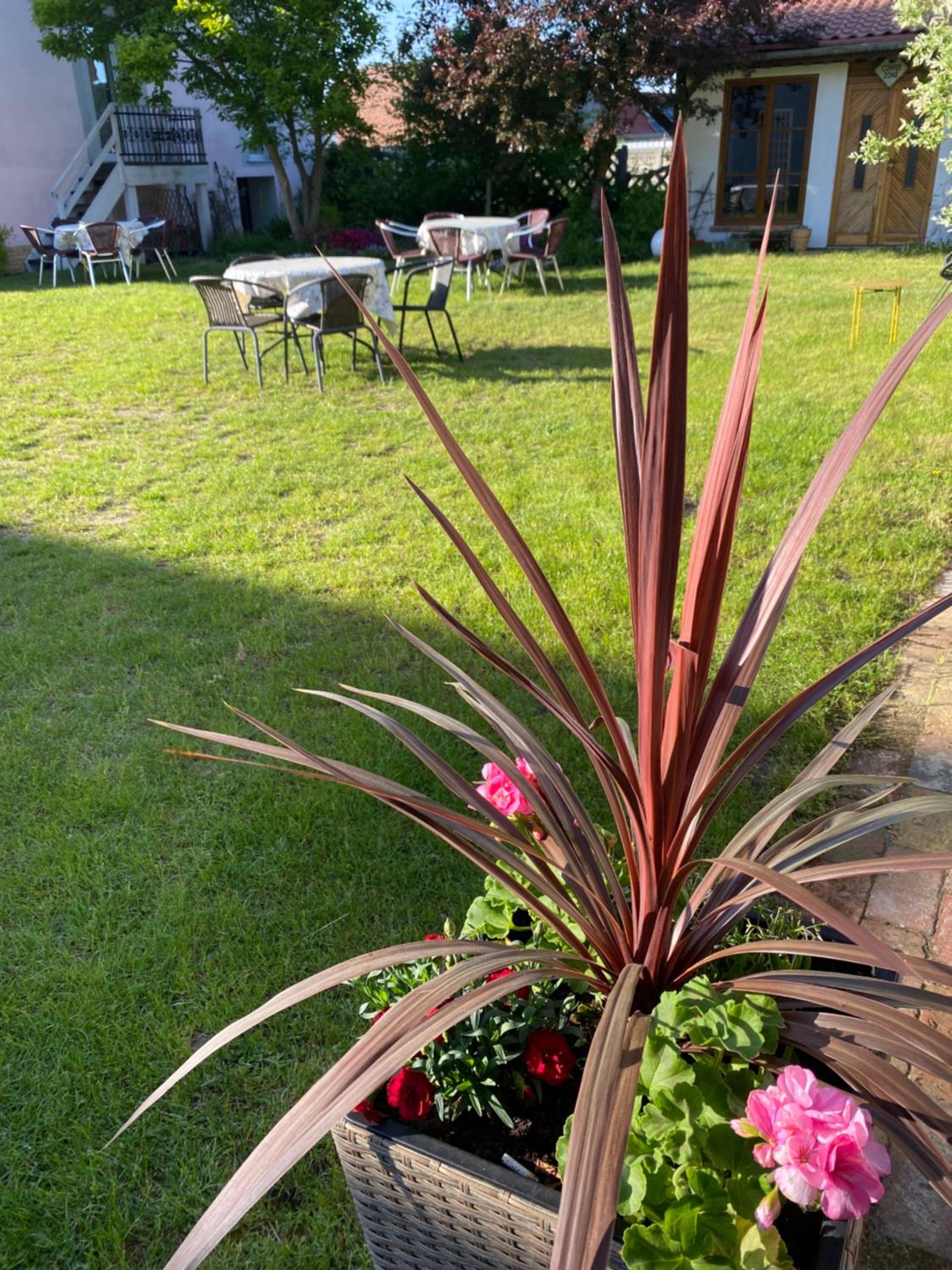 Photo 41