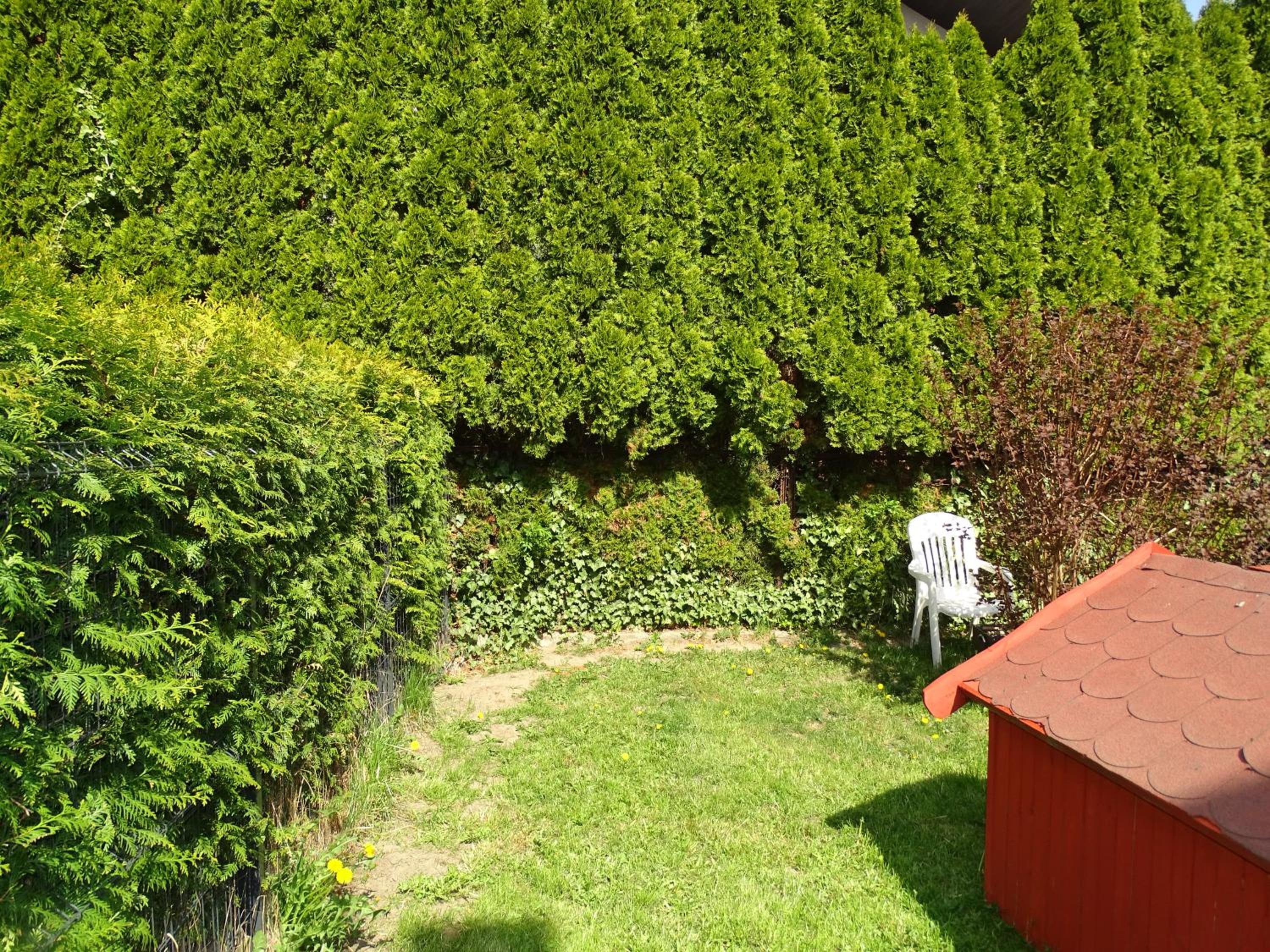 Photo 57