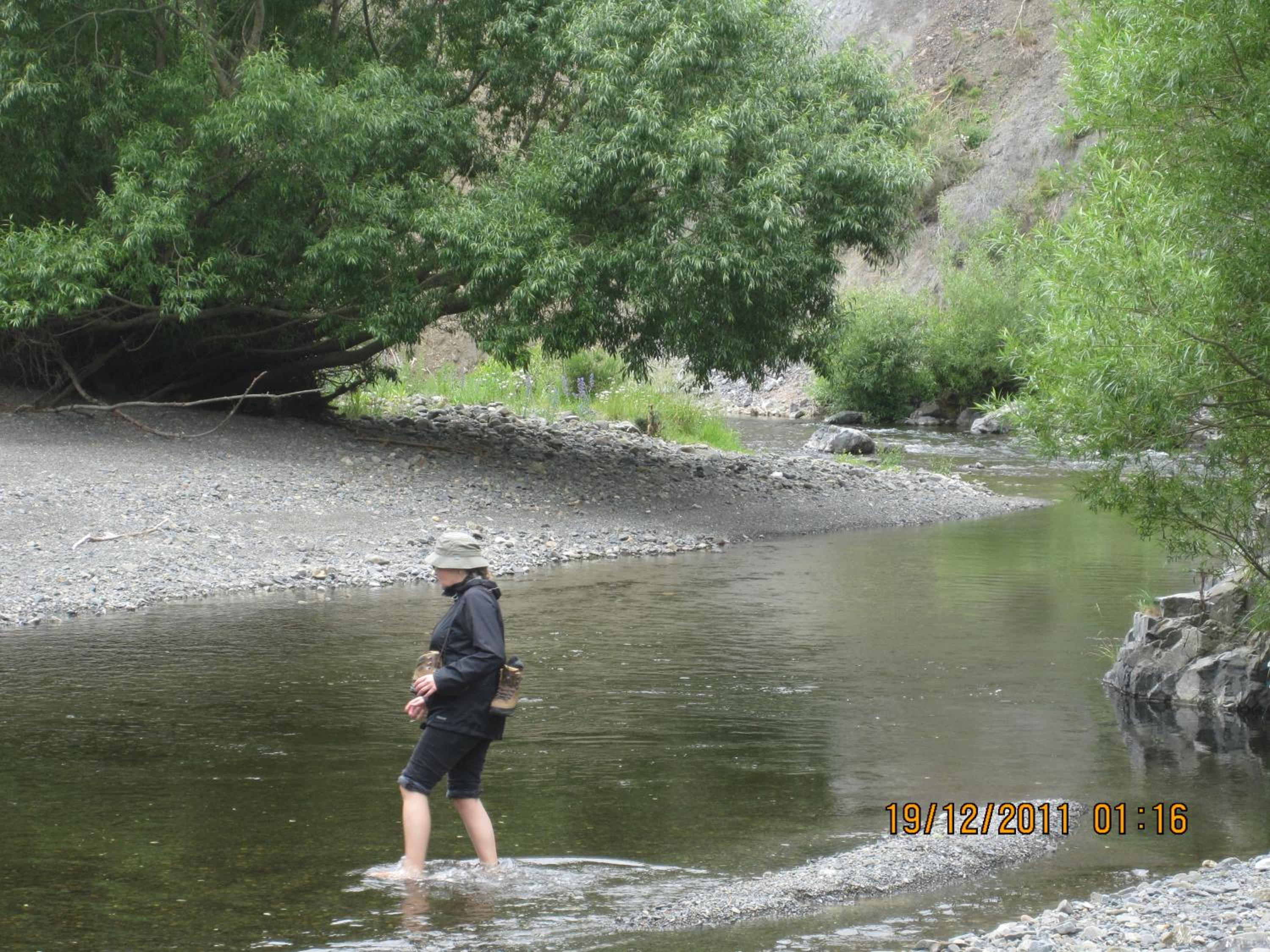 Photo 37
