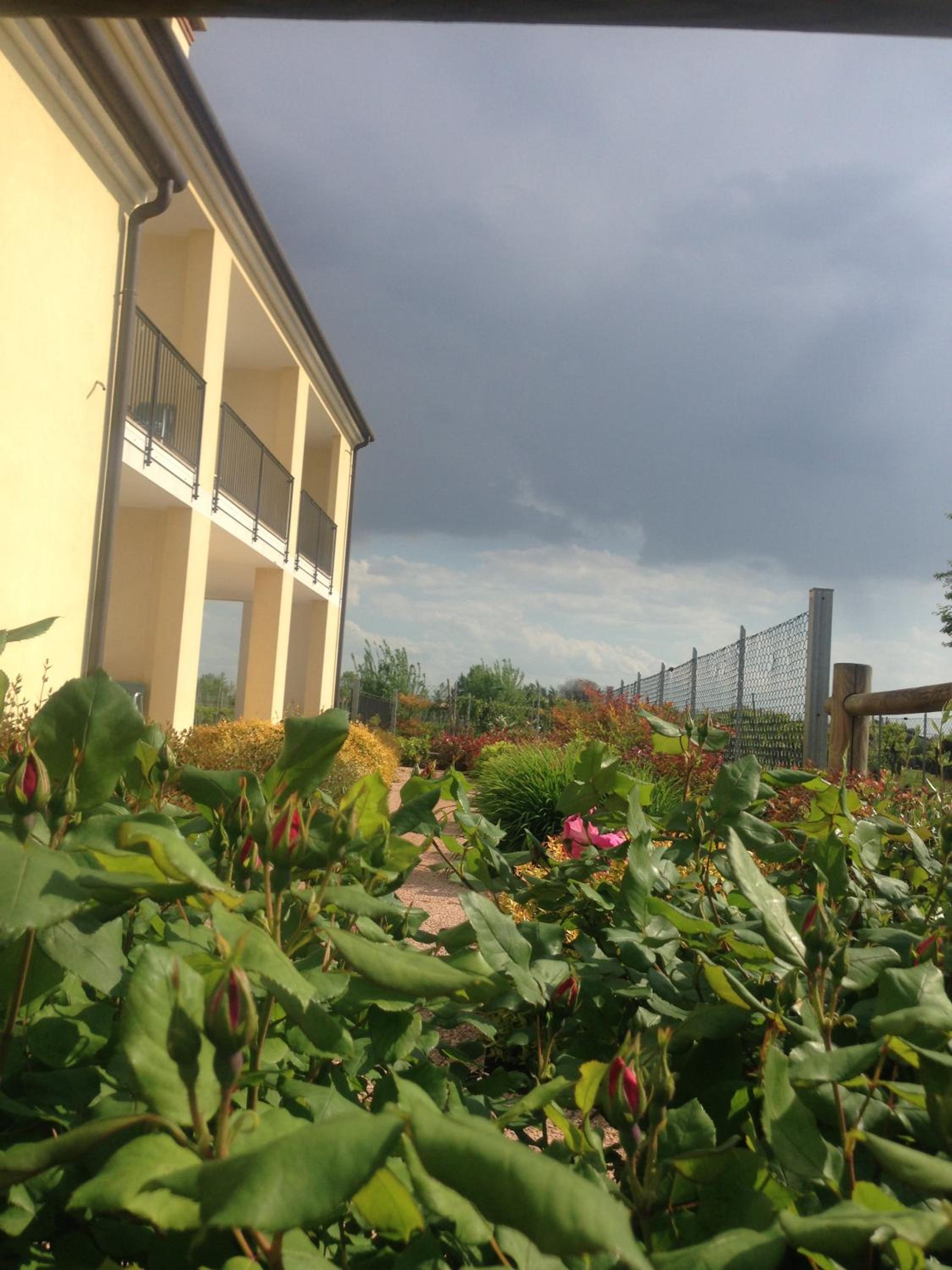 Photo 41
