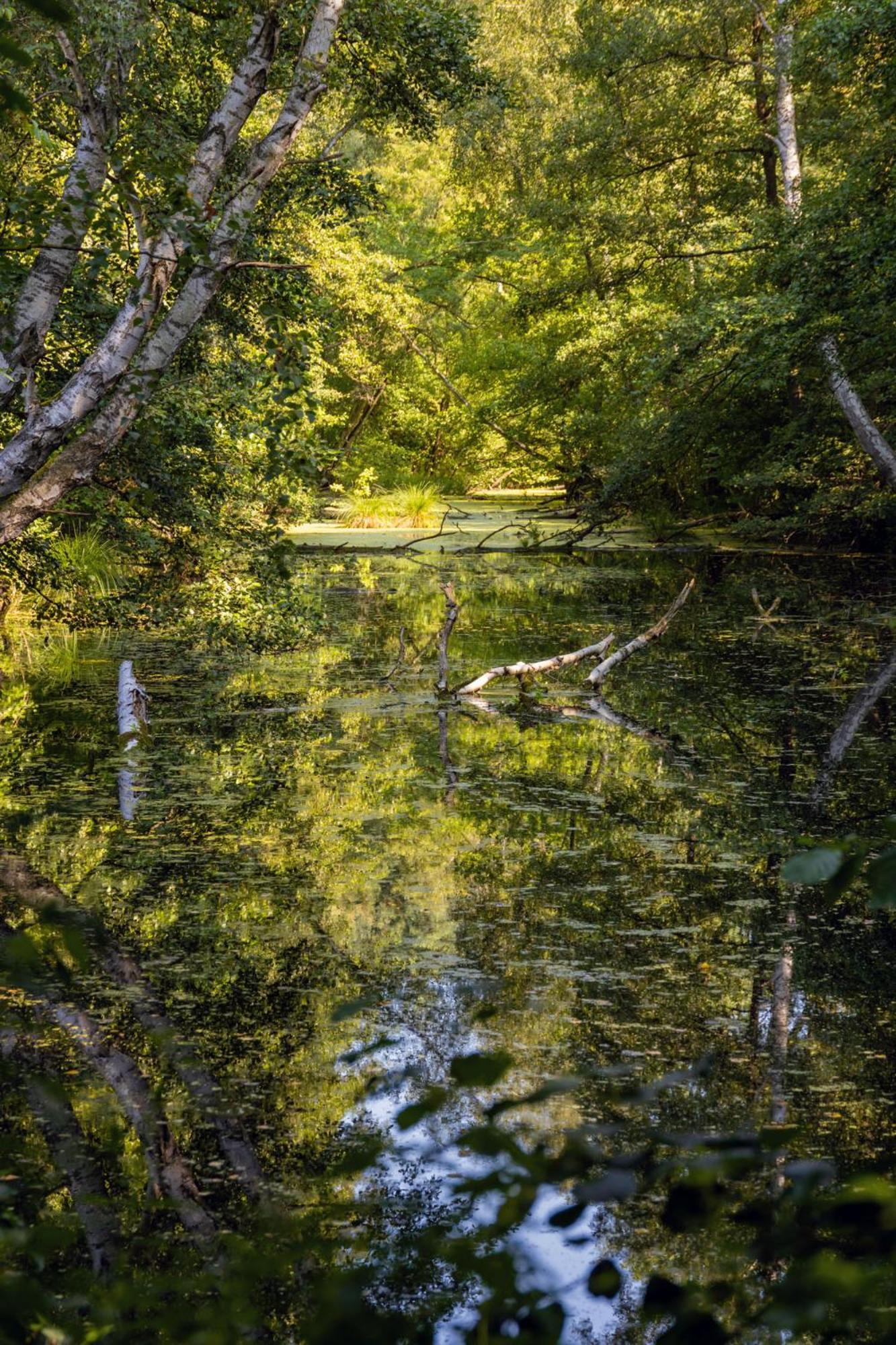 Water Hideout - Floating Luxury in Pure Wilderness
