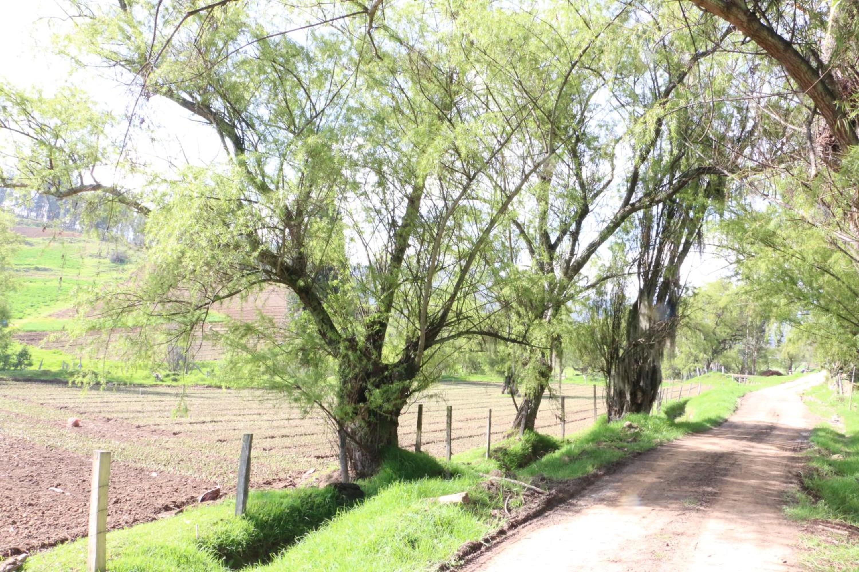 Casa Campestre SUANOGA