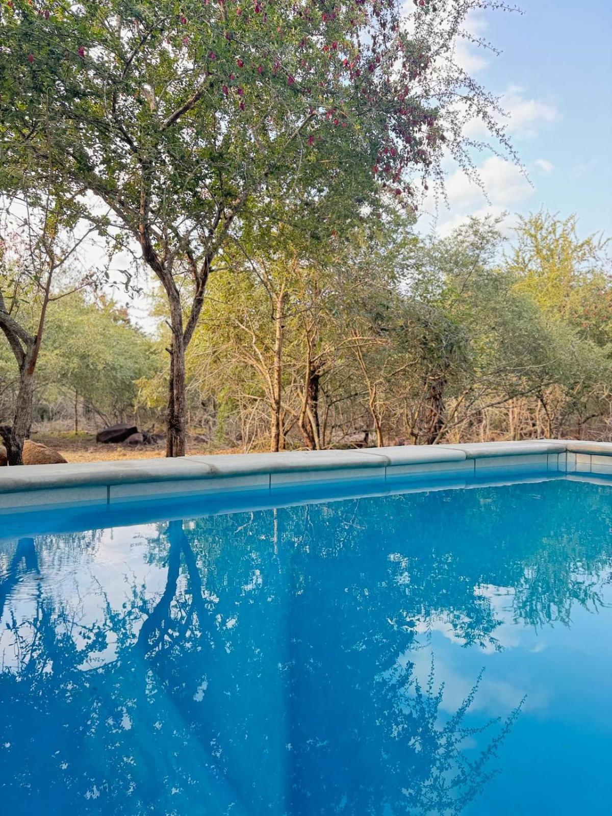 The Bush House Kruger