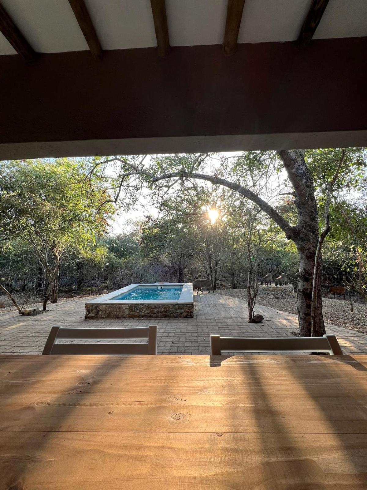 The Bush House Kruger