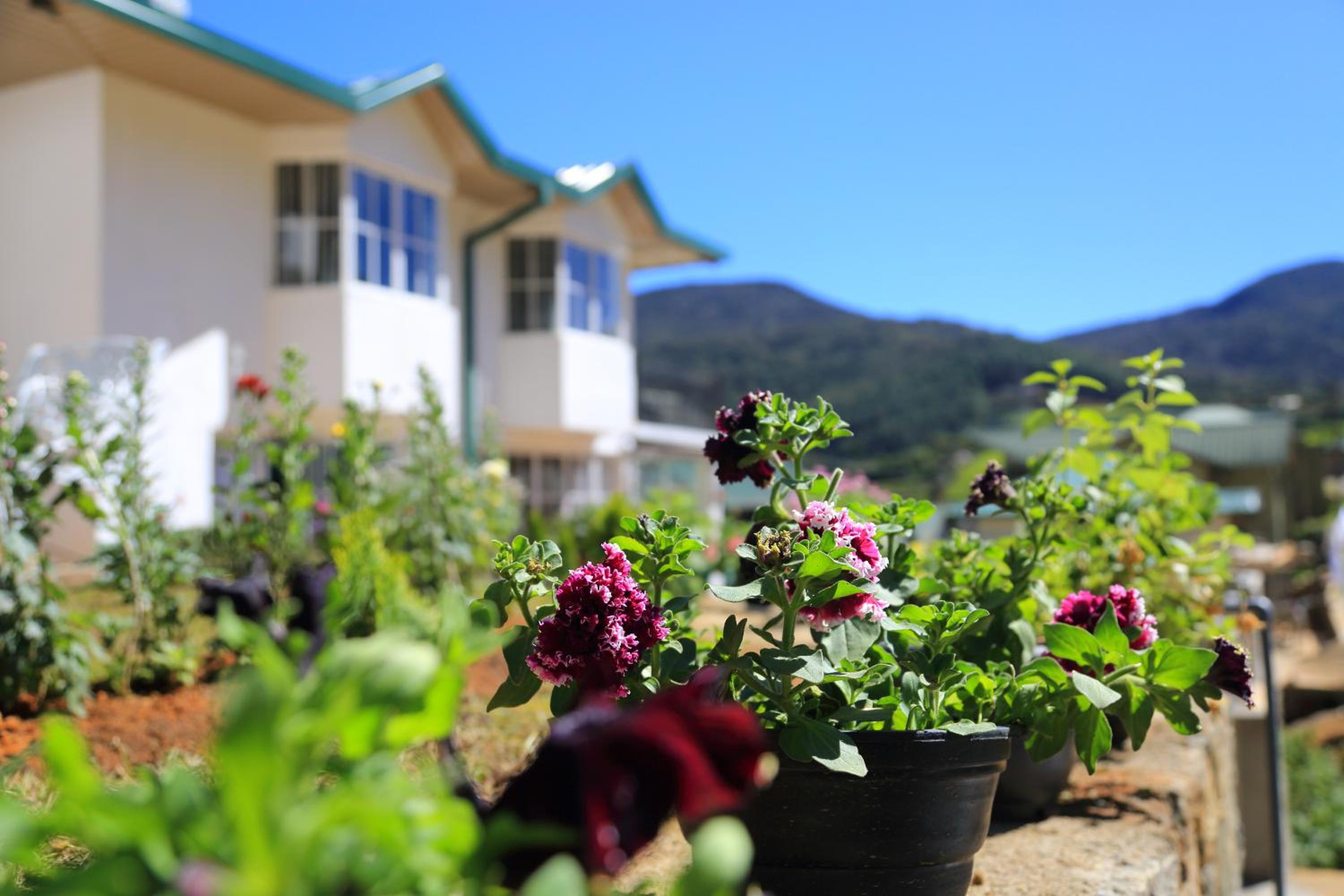 Lemas Holiday Bungalow