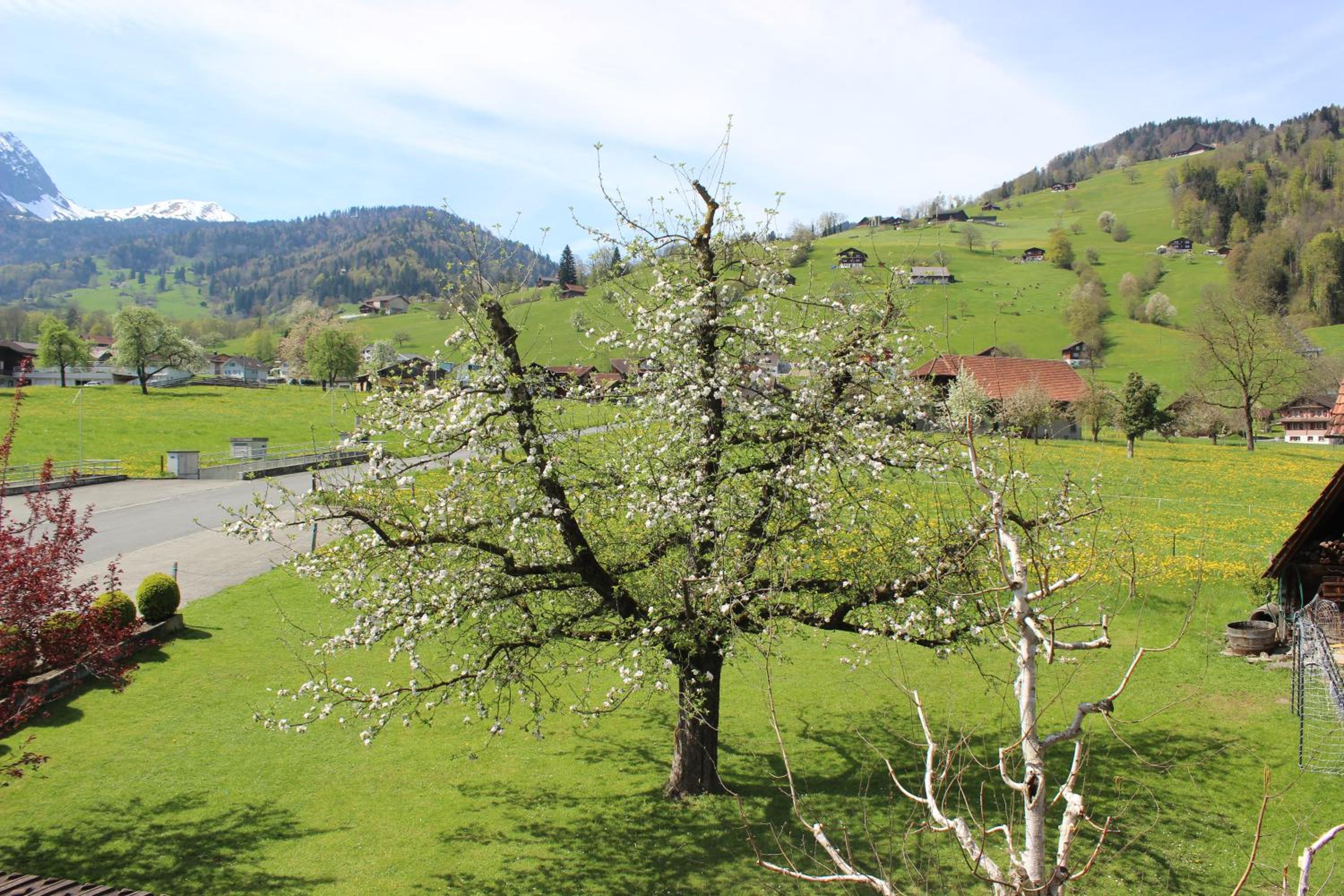 Landgasthof Grossteil
