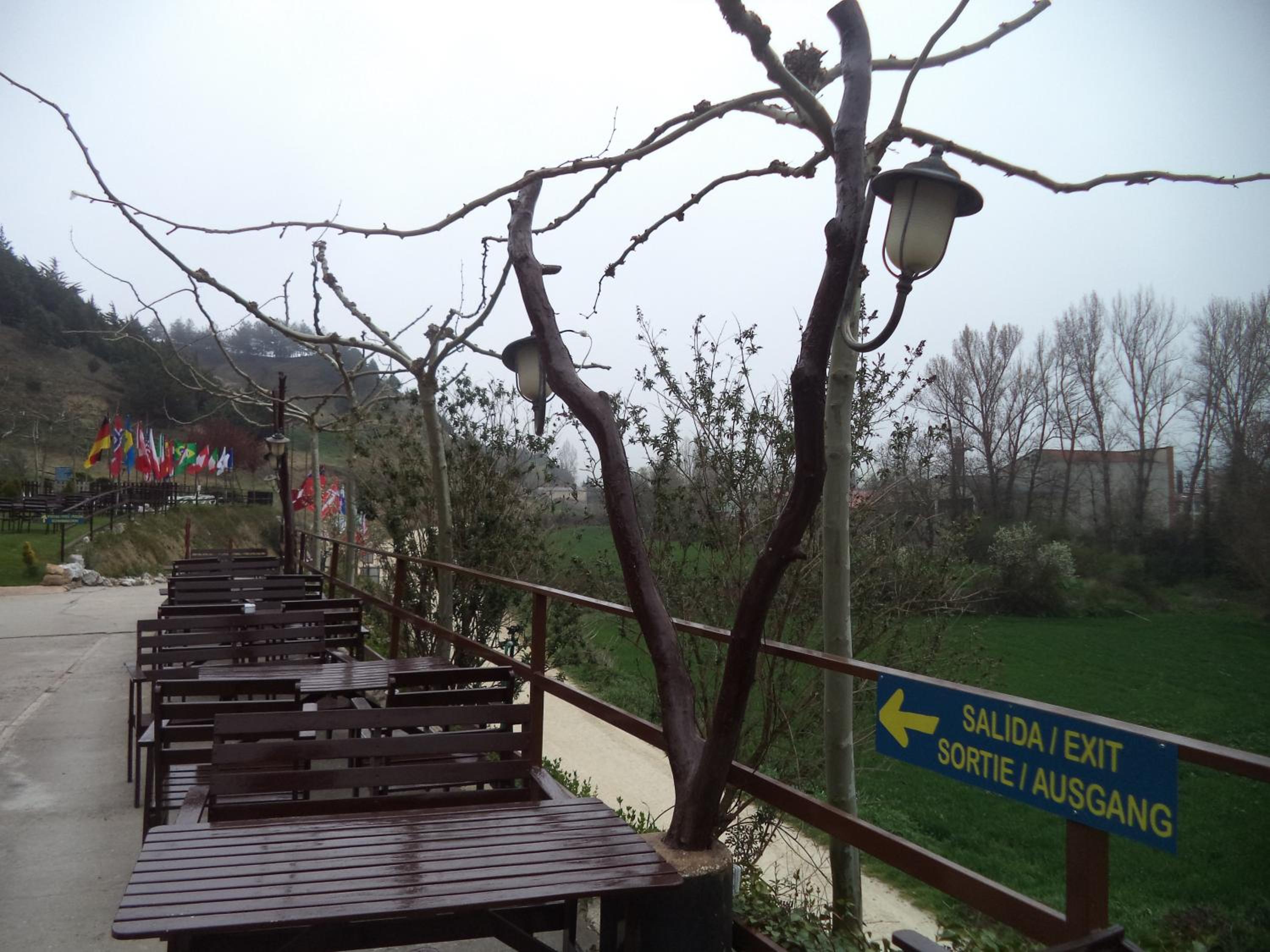 Photo 13