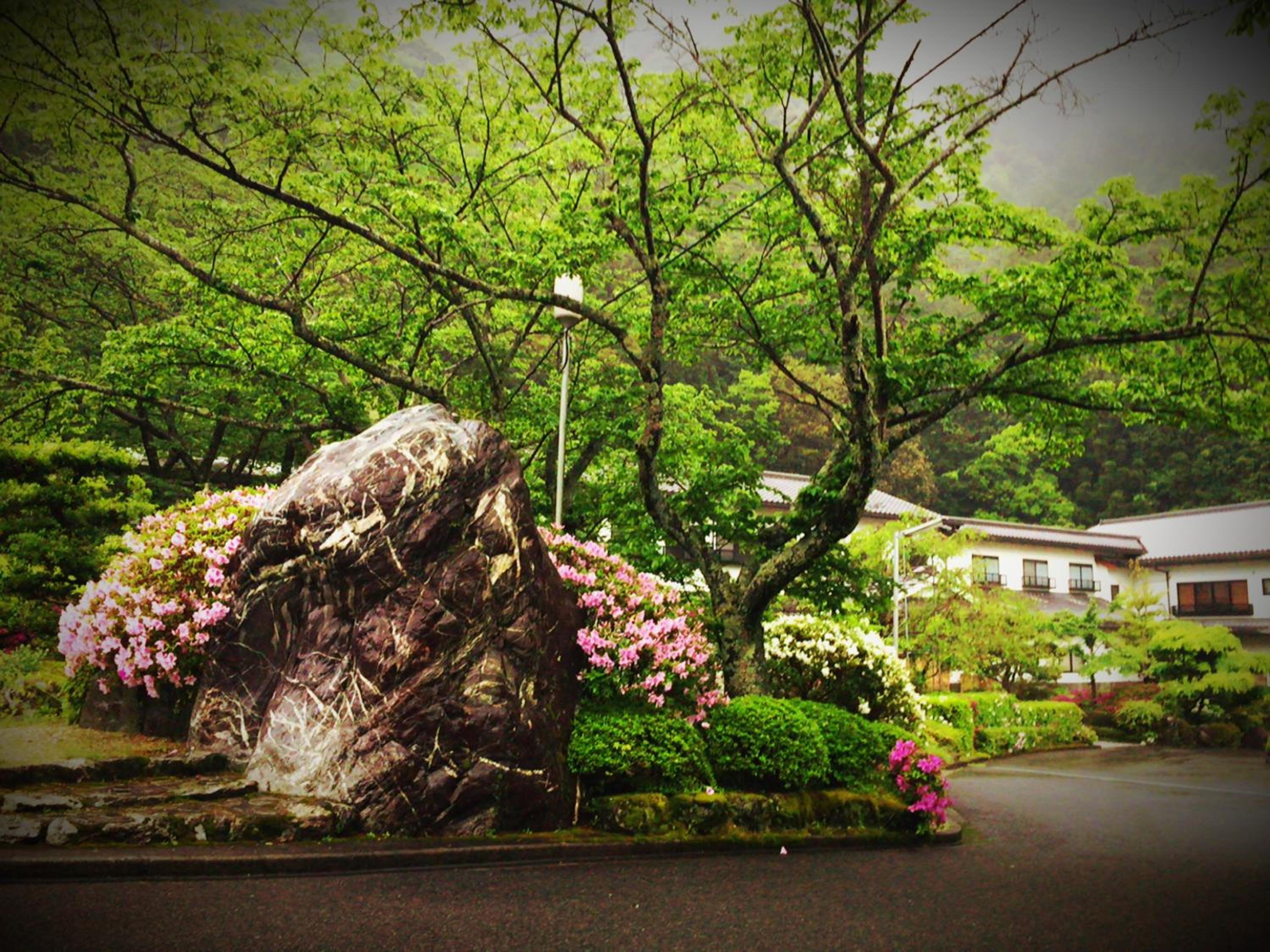Okumizuma Onsen