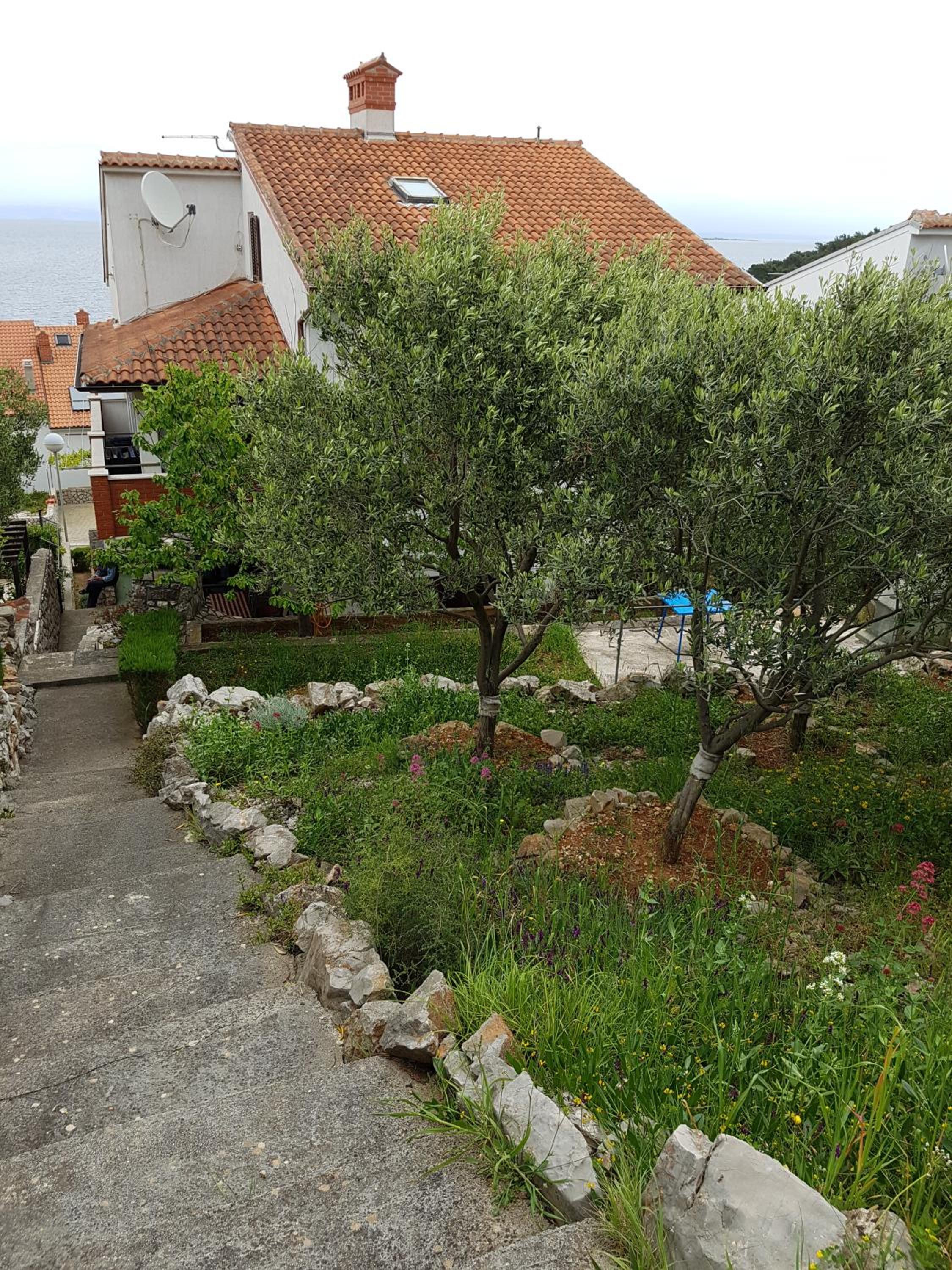 Photo 46
