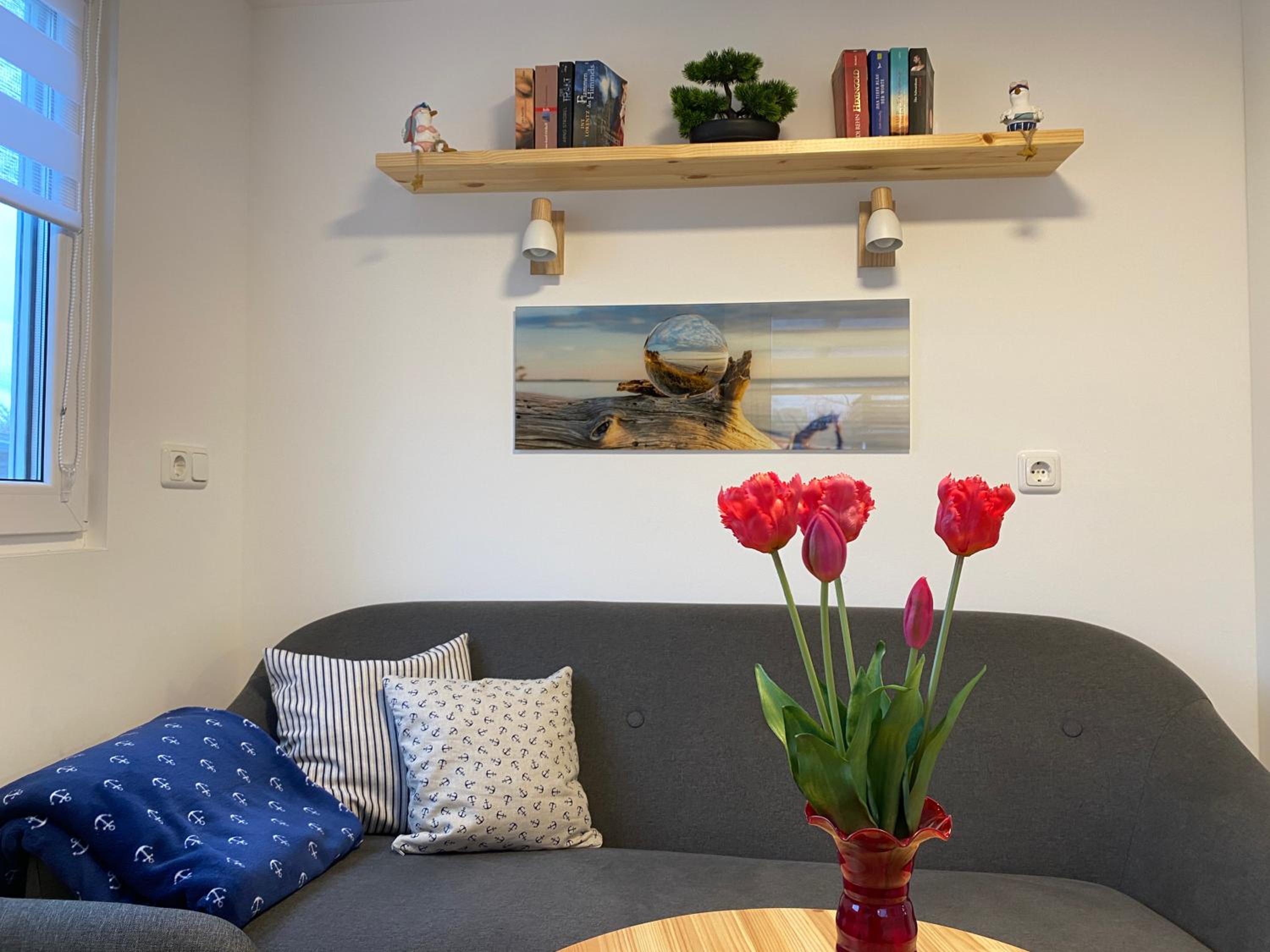 Tiny Haus Boddenblick