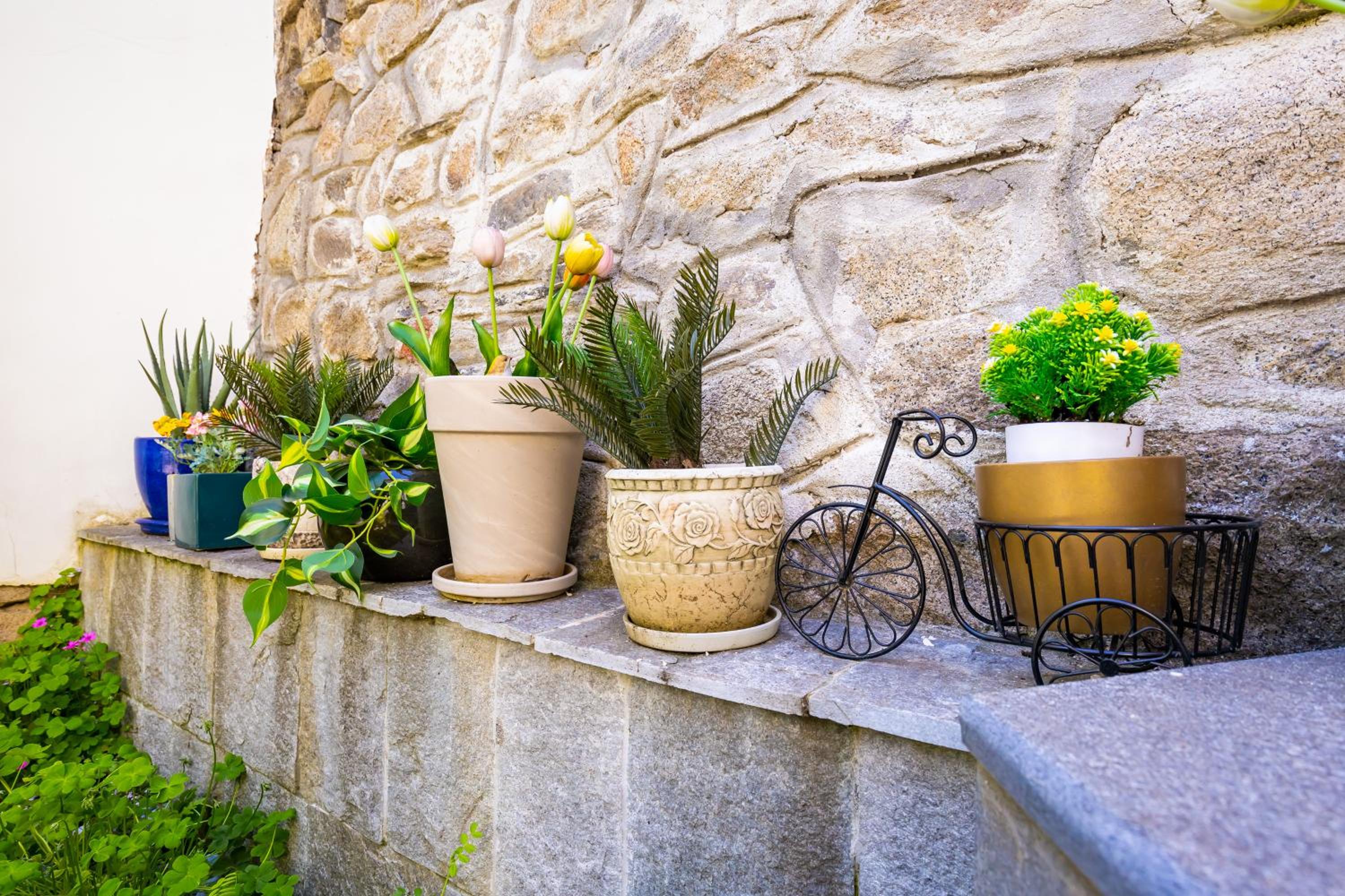 Old Town 2BR Spacious House with Private Garden and Free Parking
