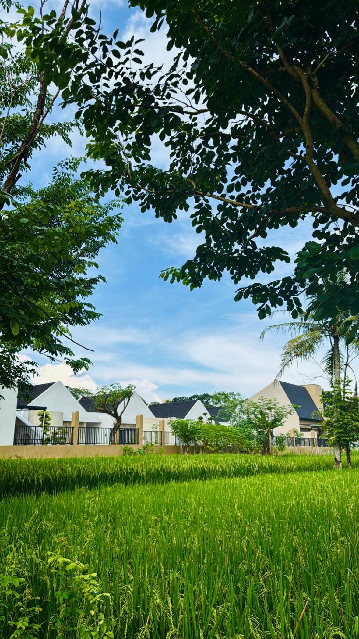 The Bora Villas