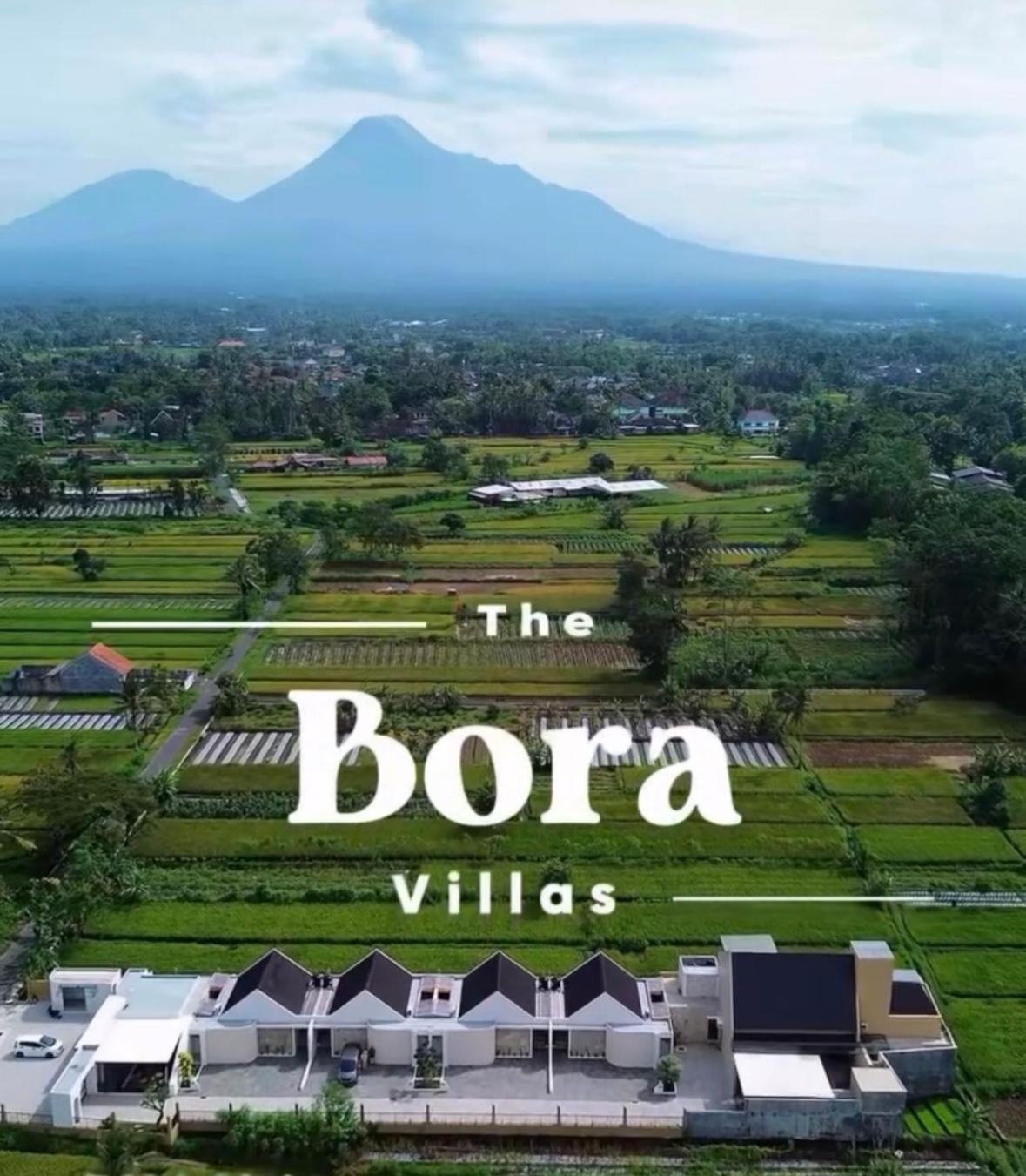 The Bora Villas