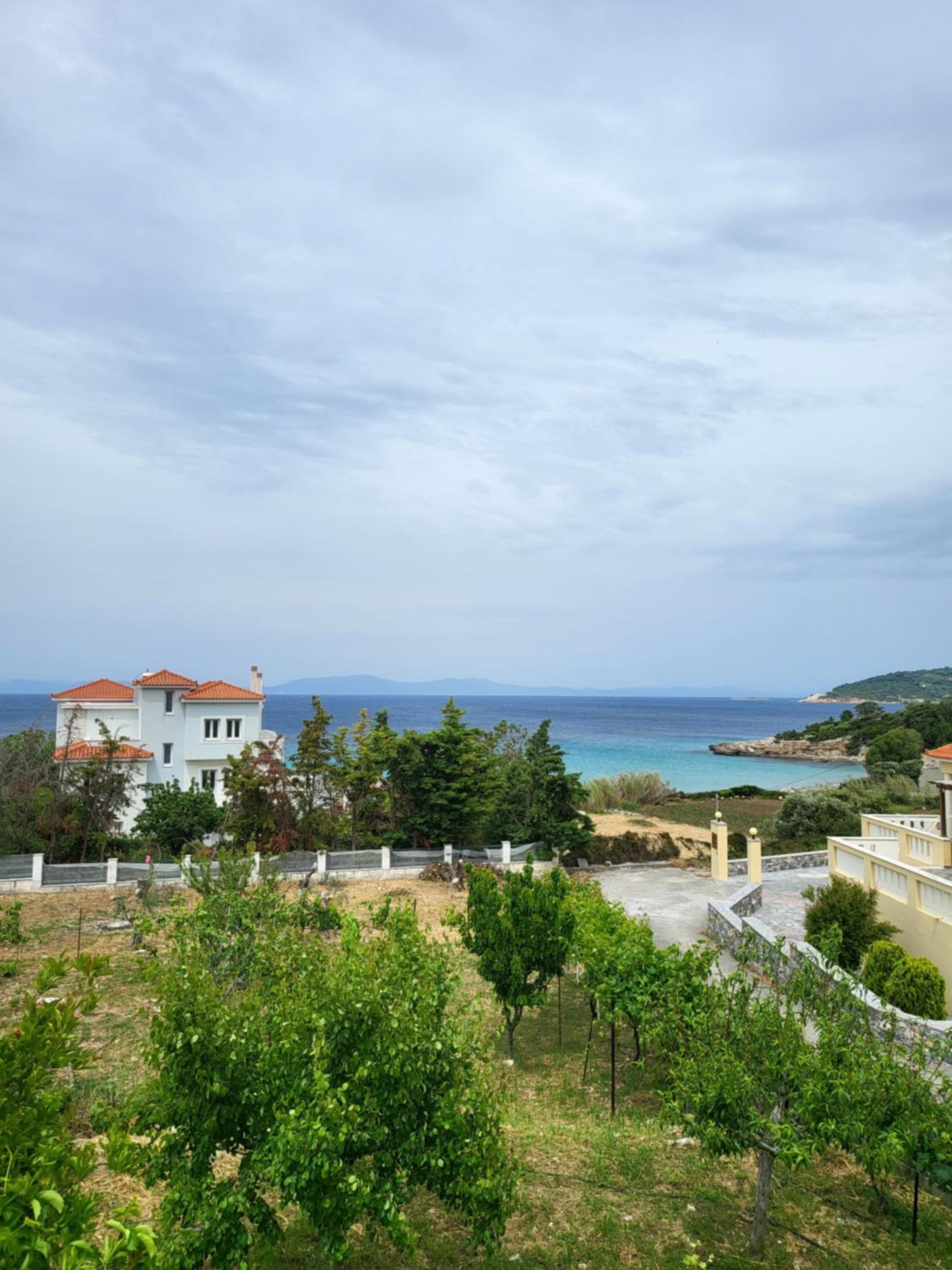 Alexia's resorts