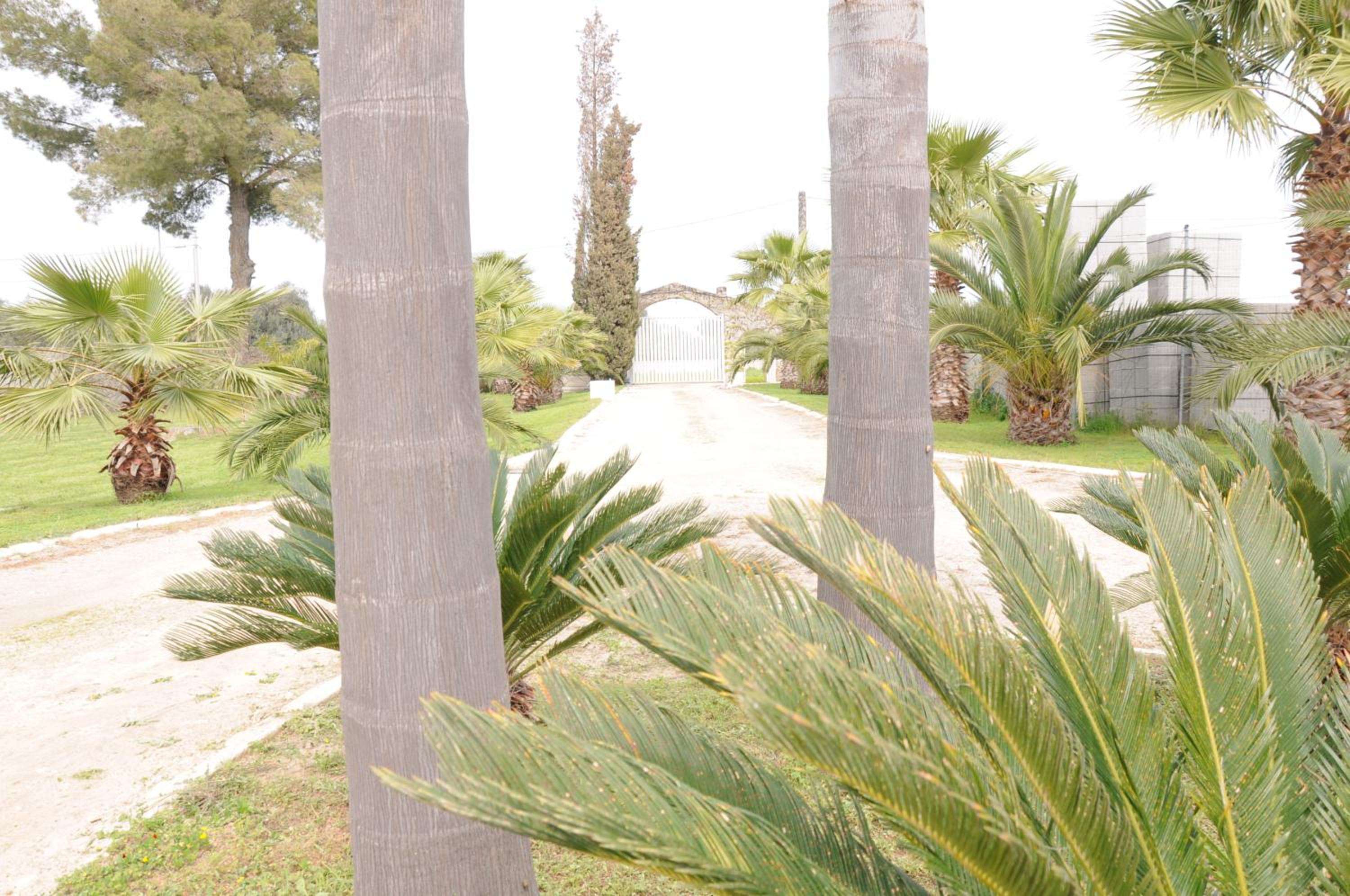 Photo 49