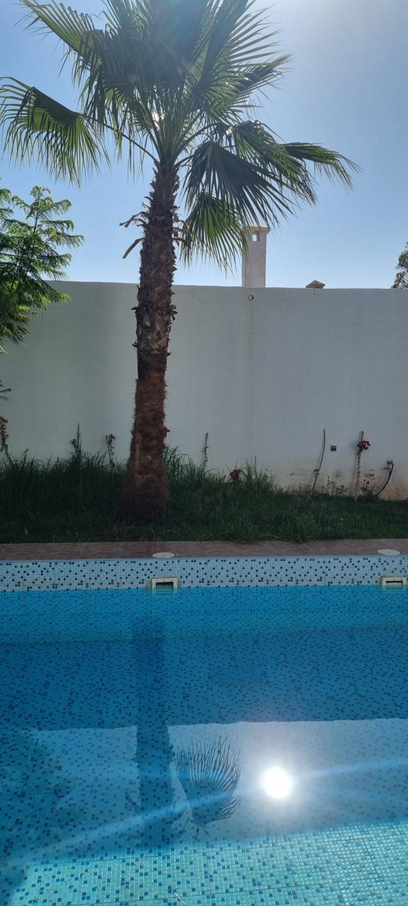 VILLa PALMS KECH