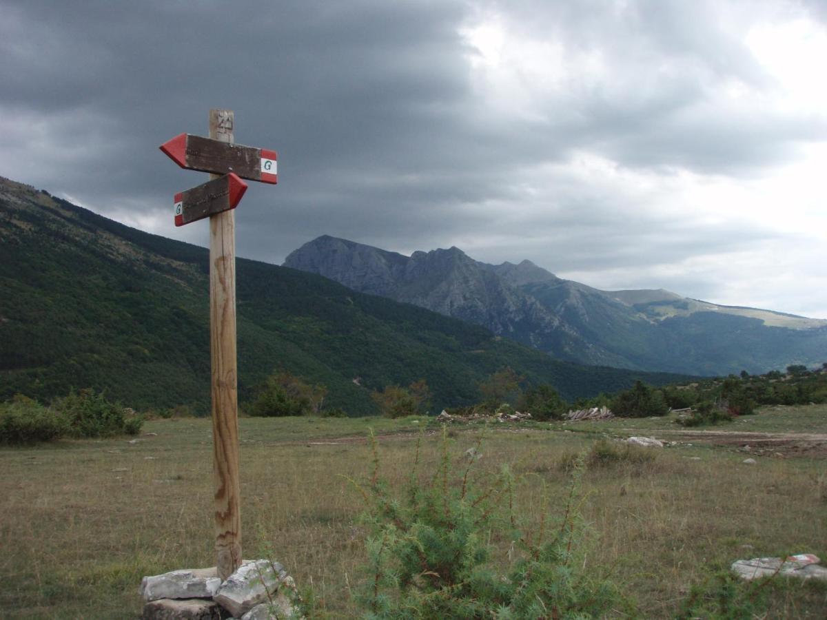Photo 37