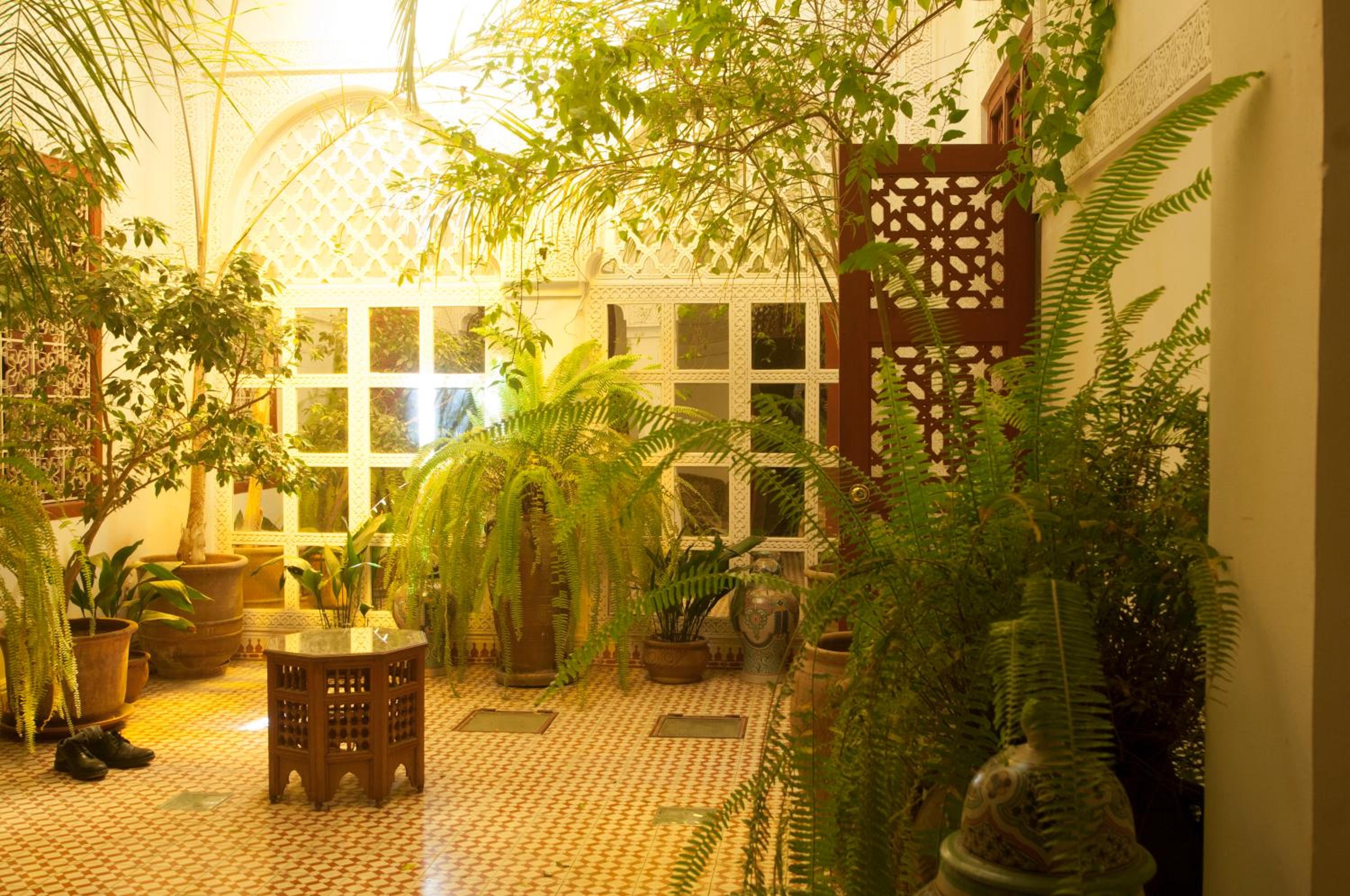 Riad Ifoulki