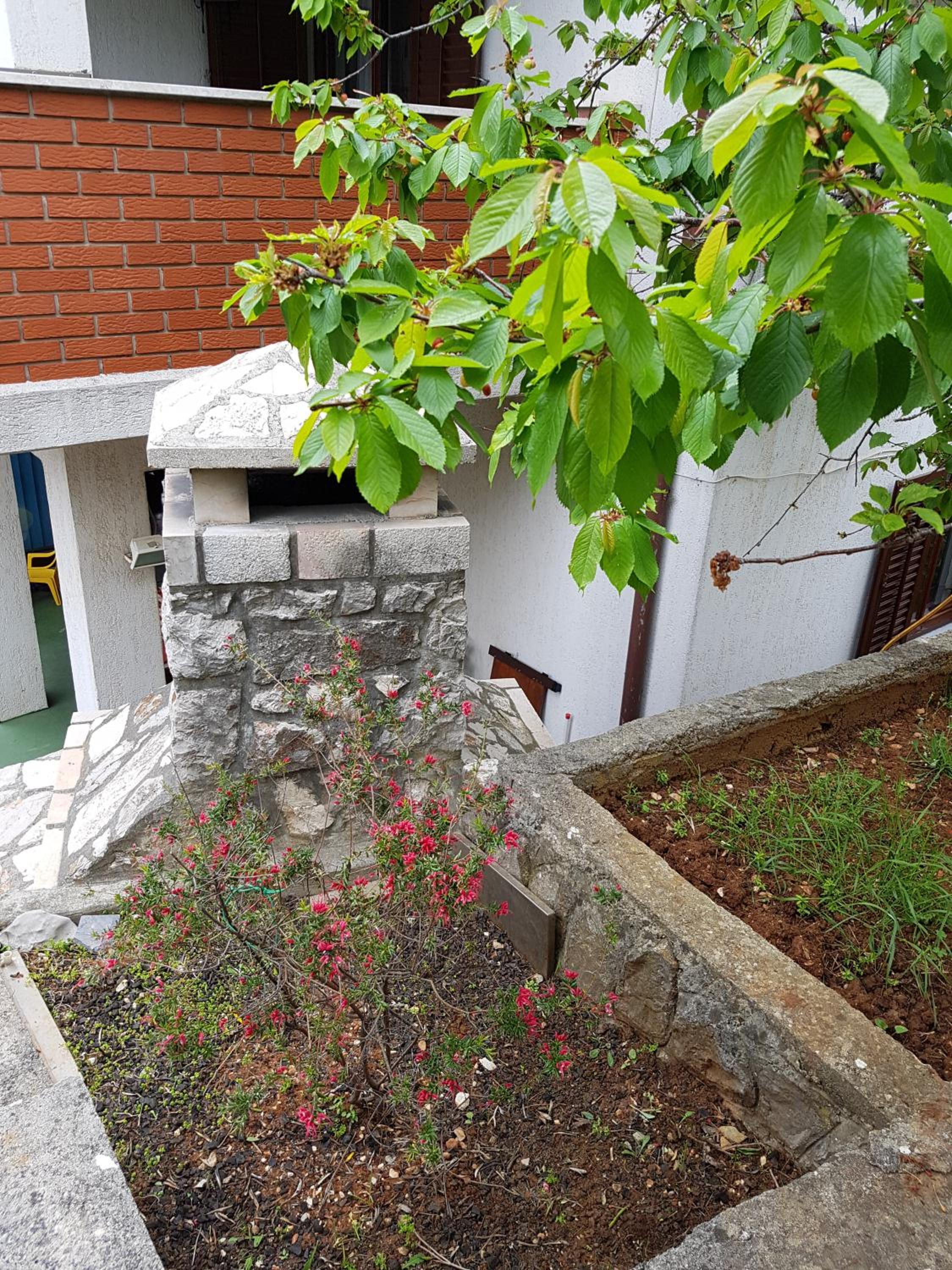 Photo 45