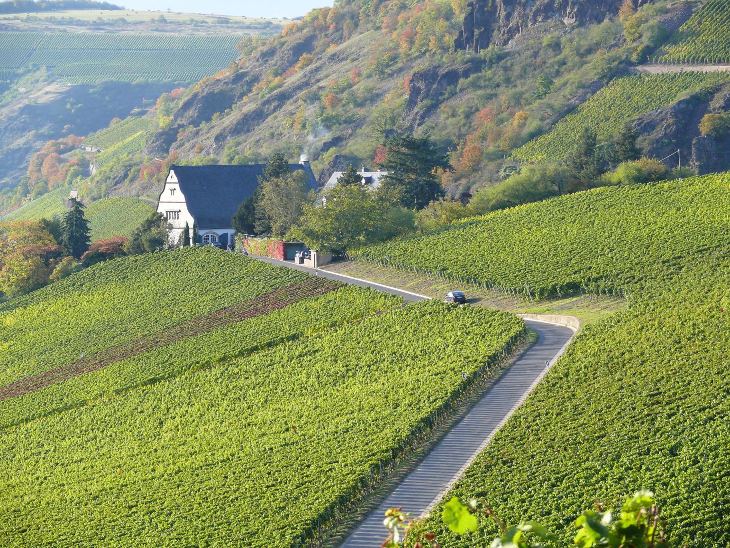 Gut Hermannsberg, Gästehaus
