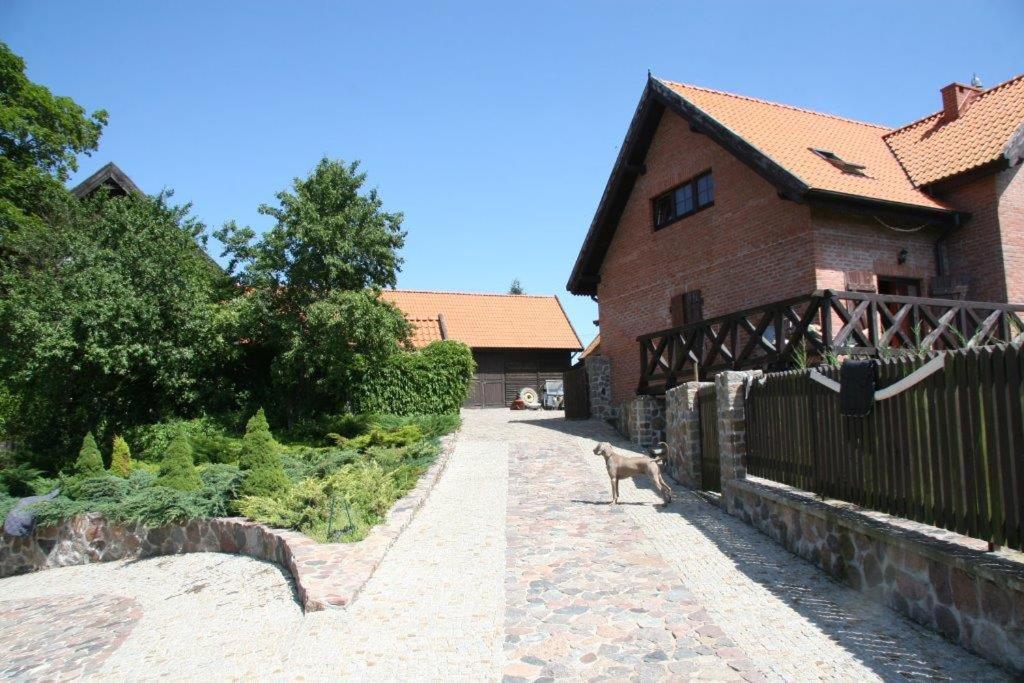 Photo 51