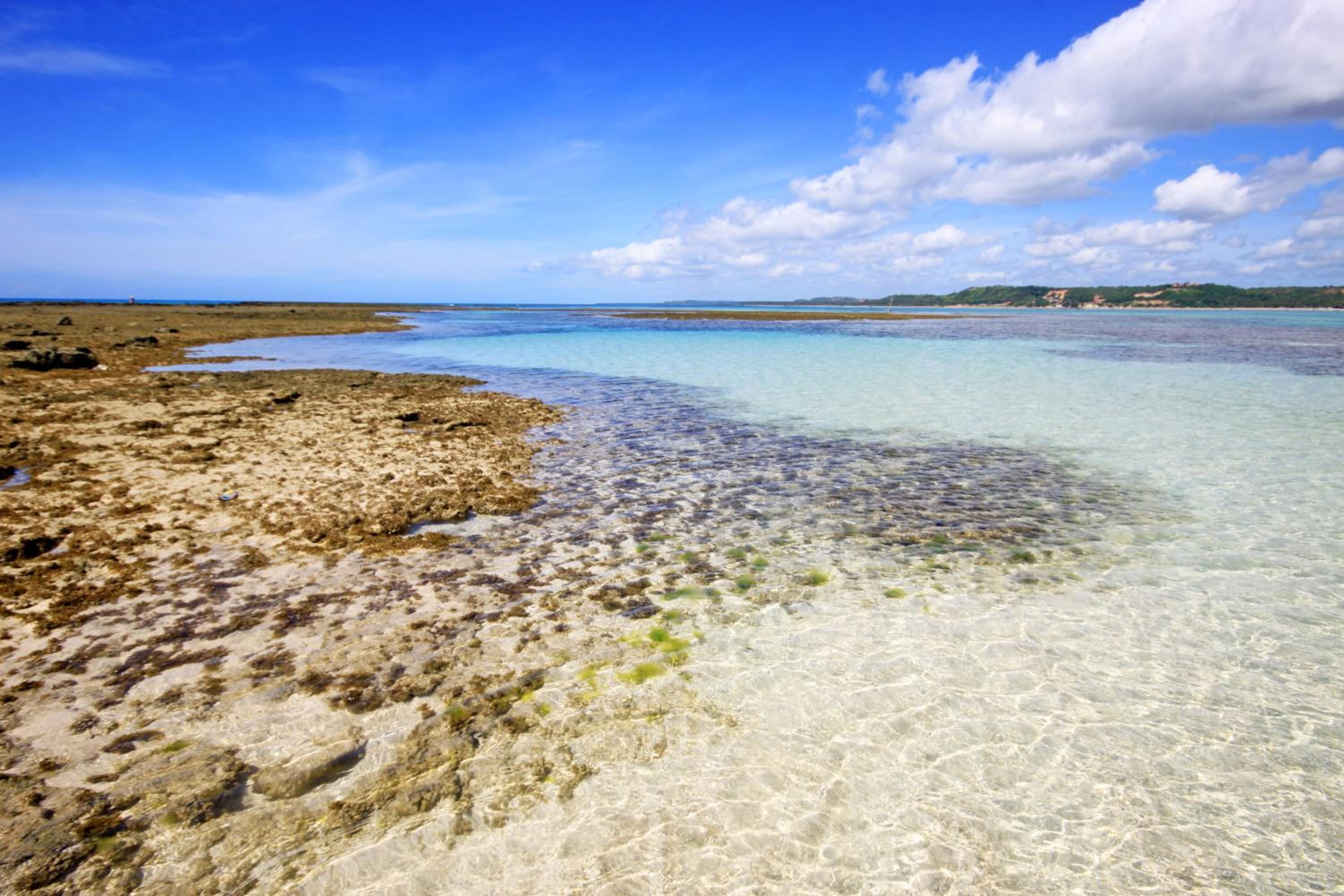 Eco Pousada Paraíso dos Coqueirais