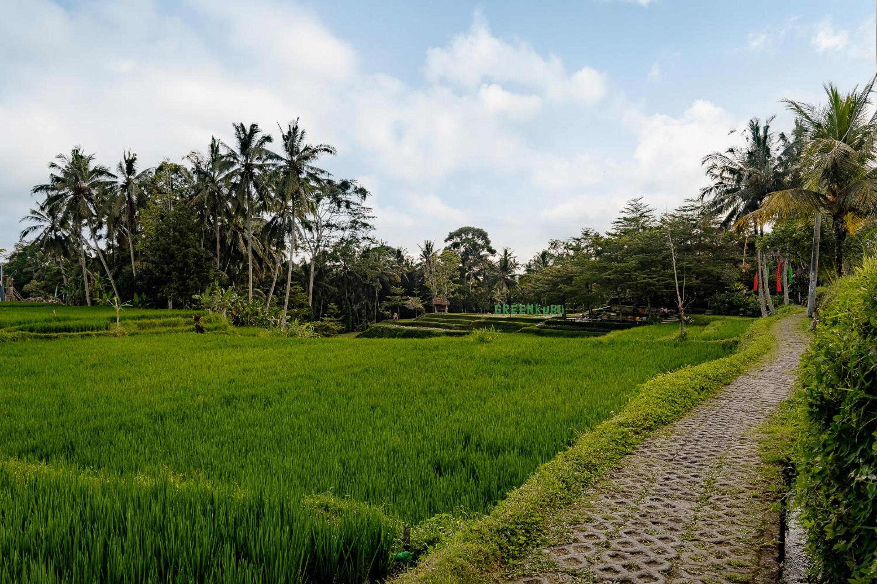 Green Weca Ubud Villa
