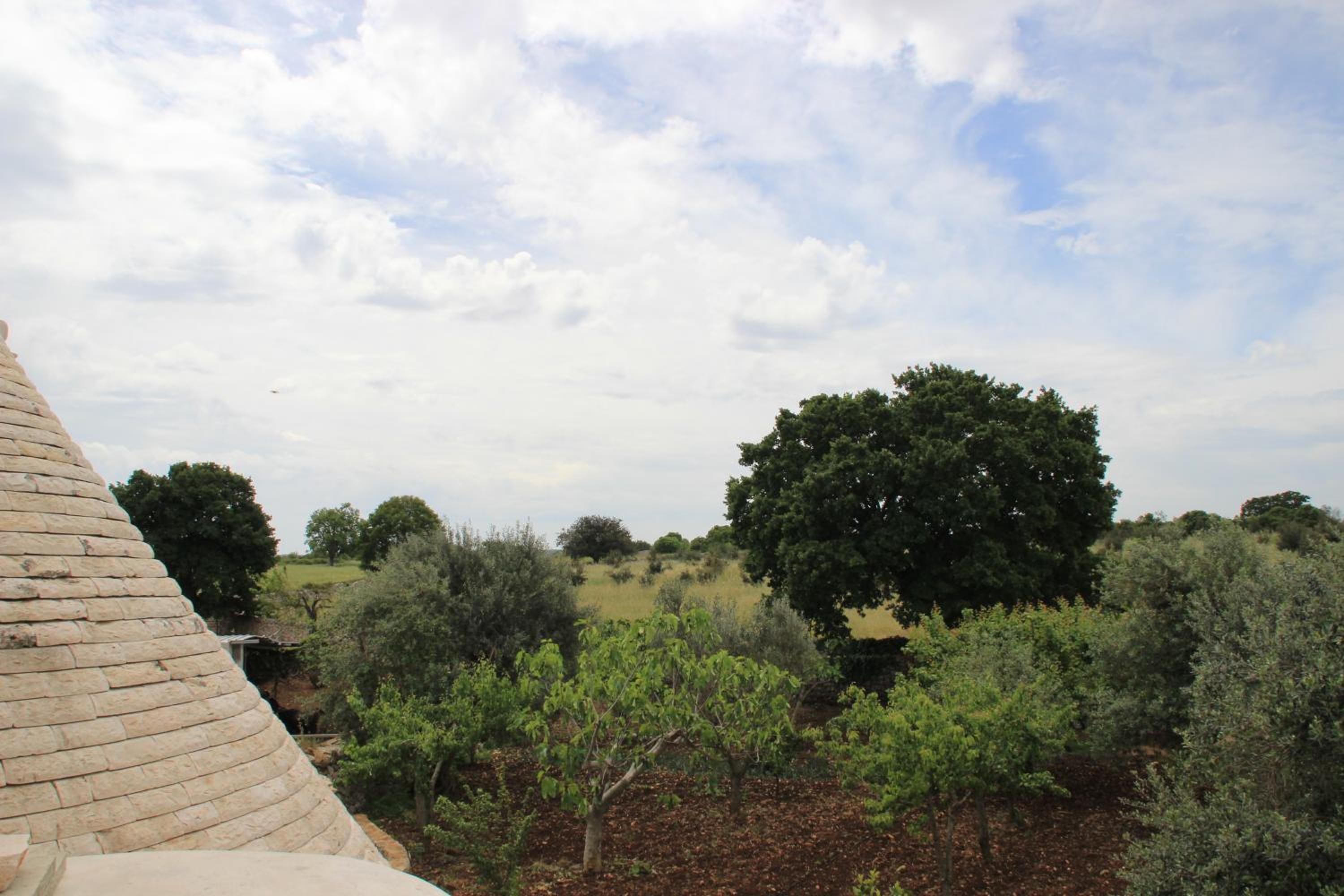 Masseria Peppeturro