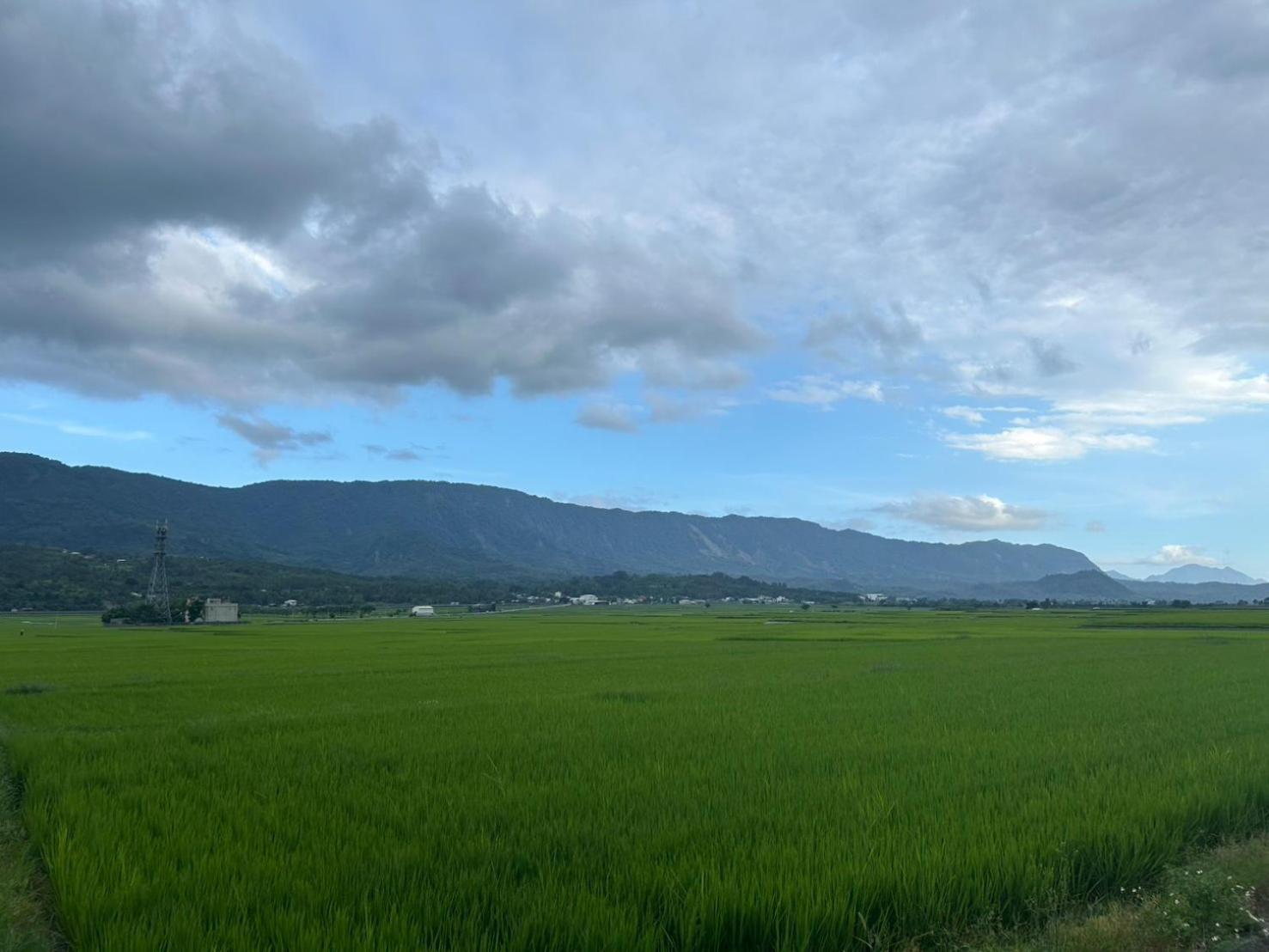 Xian Qing Yu Zhi Homestay, photo 4