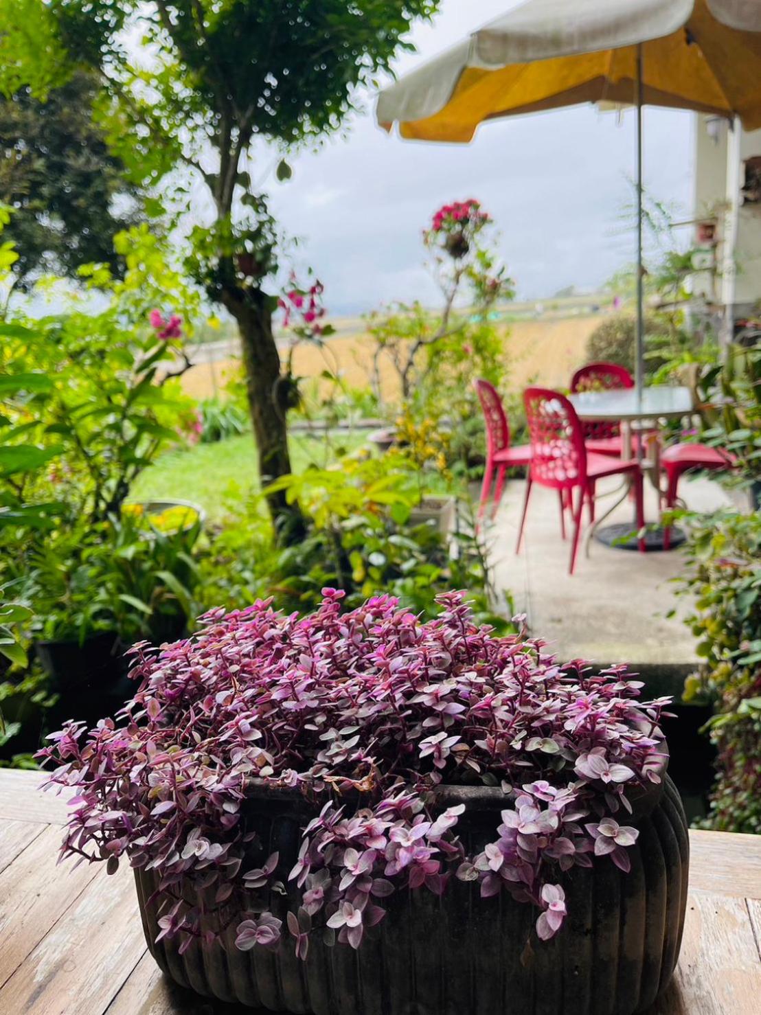 Xian Qing Yu Zhi Homestay, photo 44