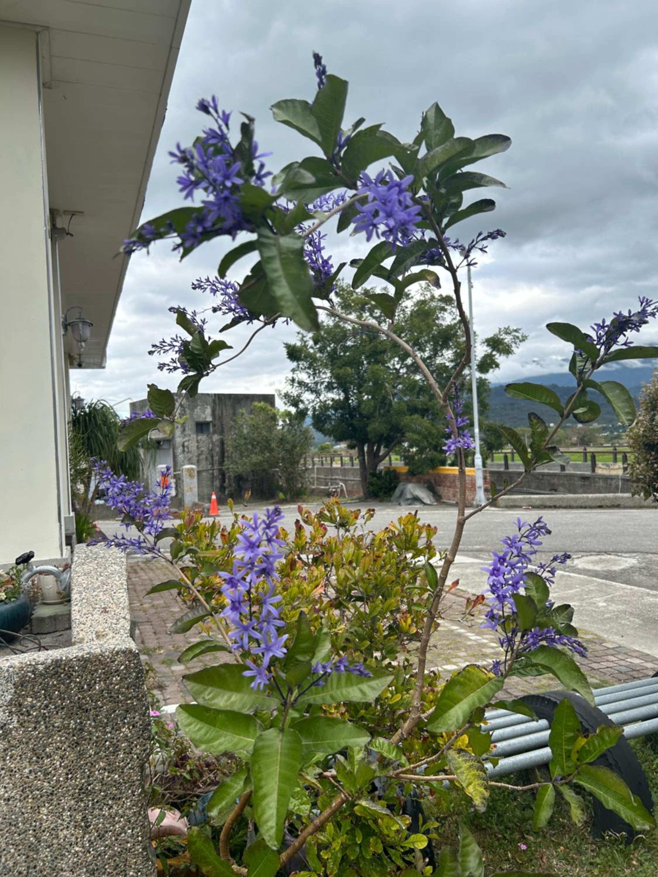 Xian Qing Yu Zhi Homestay, photo 21