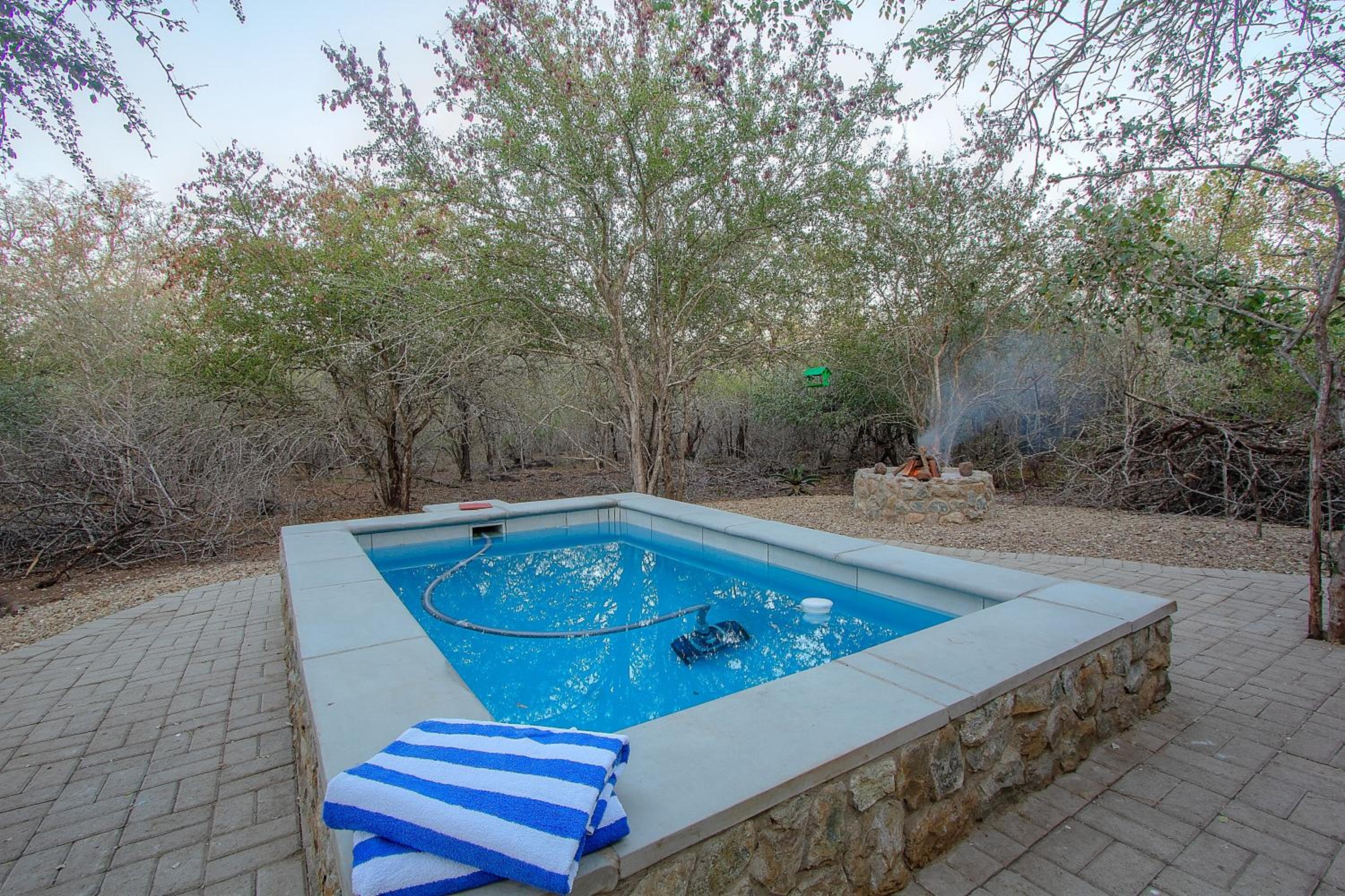 The Bush House Kruger
